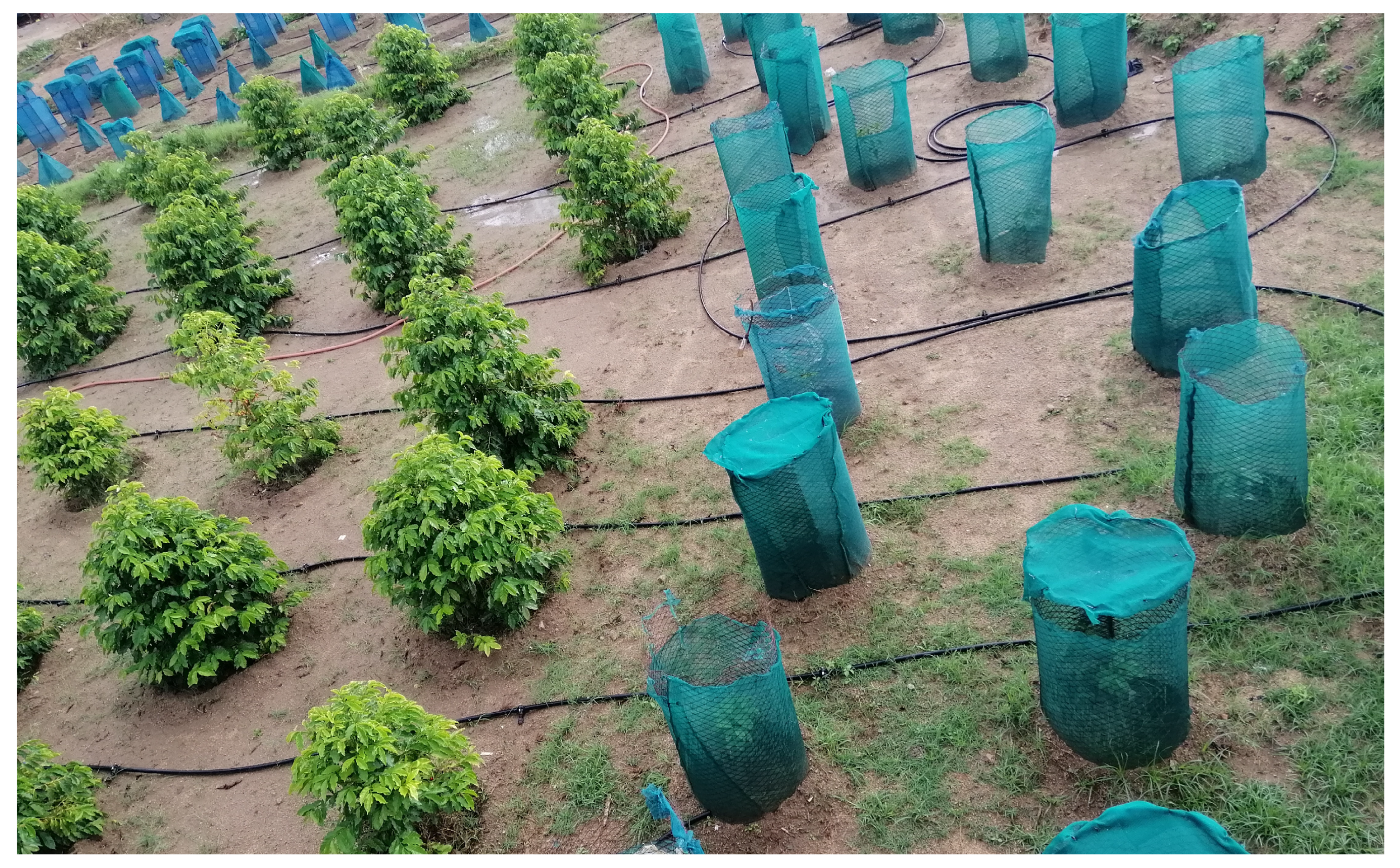 Sustainability 17 10550 g003