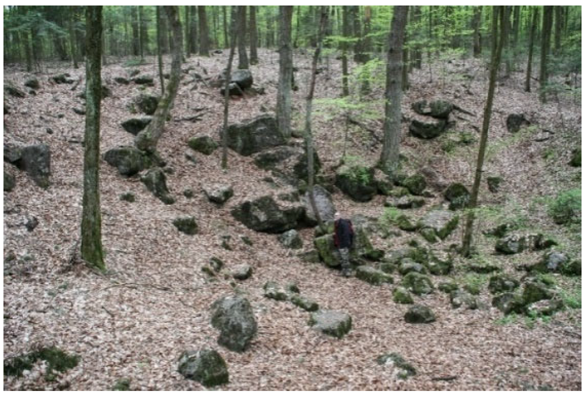 Sustainability 17 10557 g003