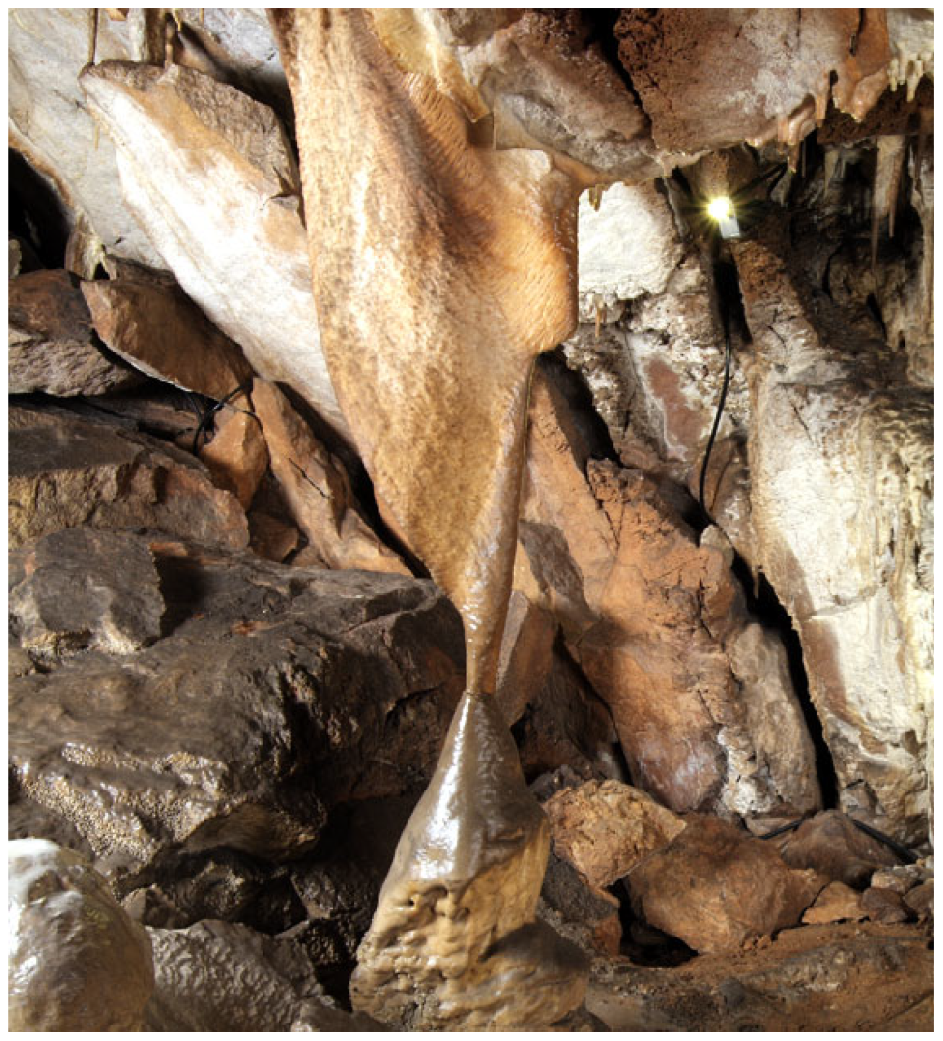 Sustainability 17 10557 g004