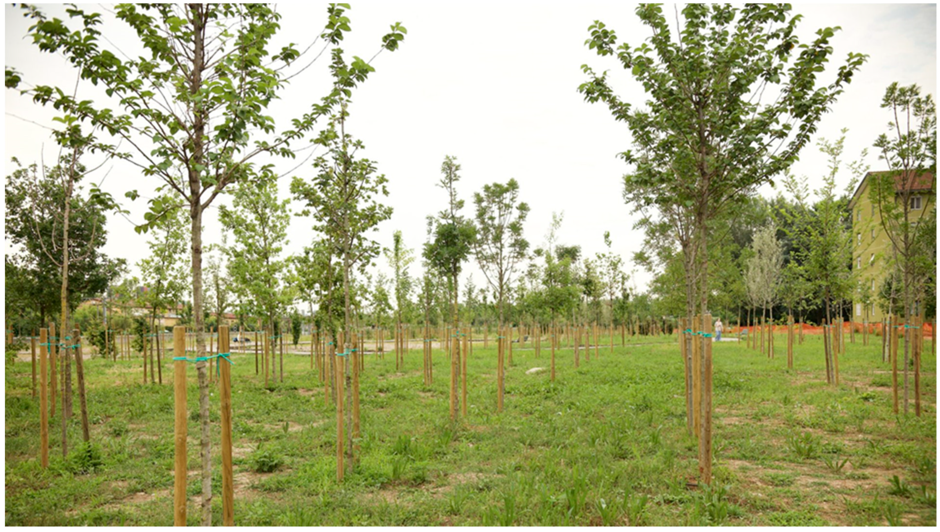 Sustainability 17 10574 g006