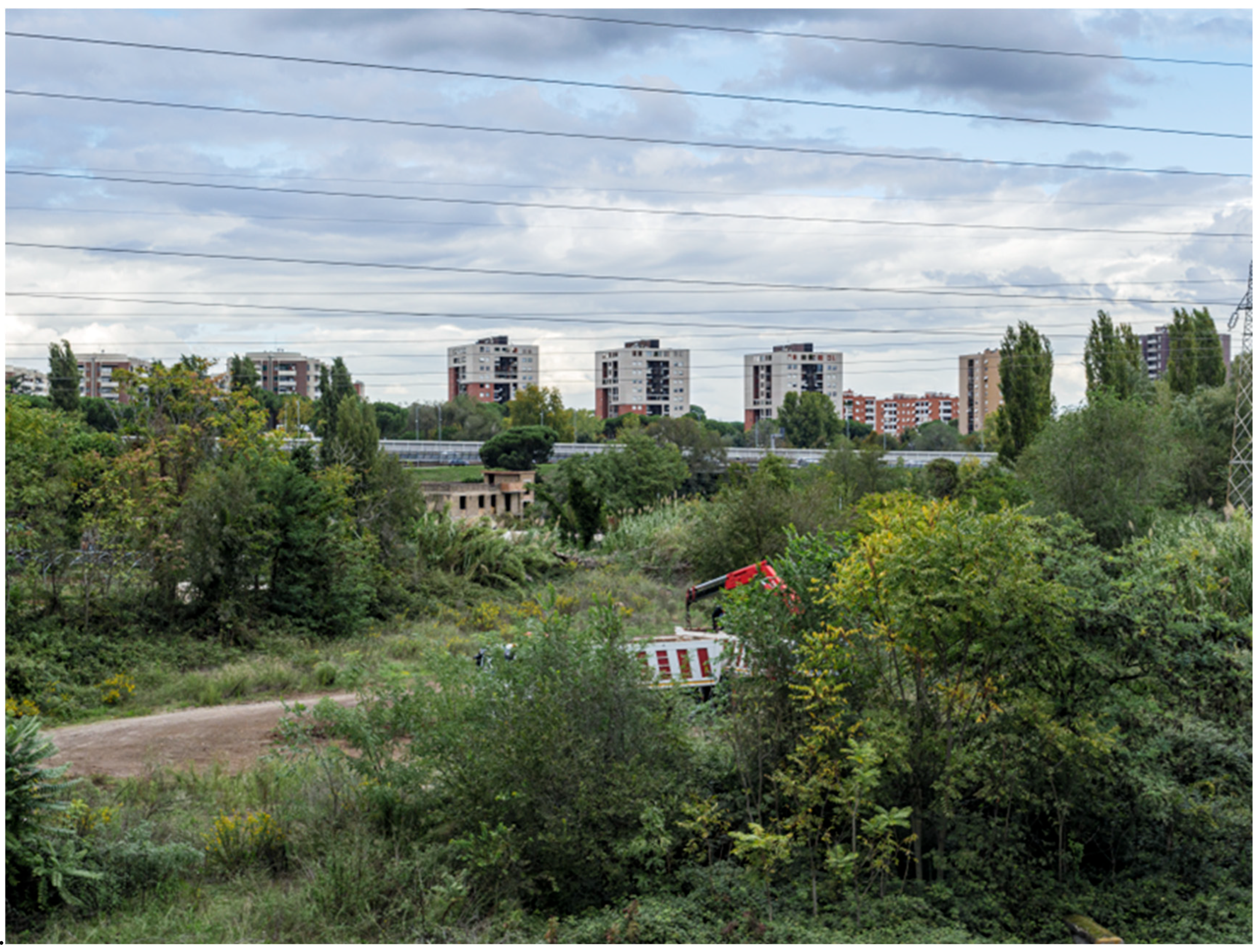 Sustainability 17 10574 g008