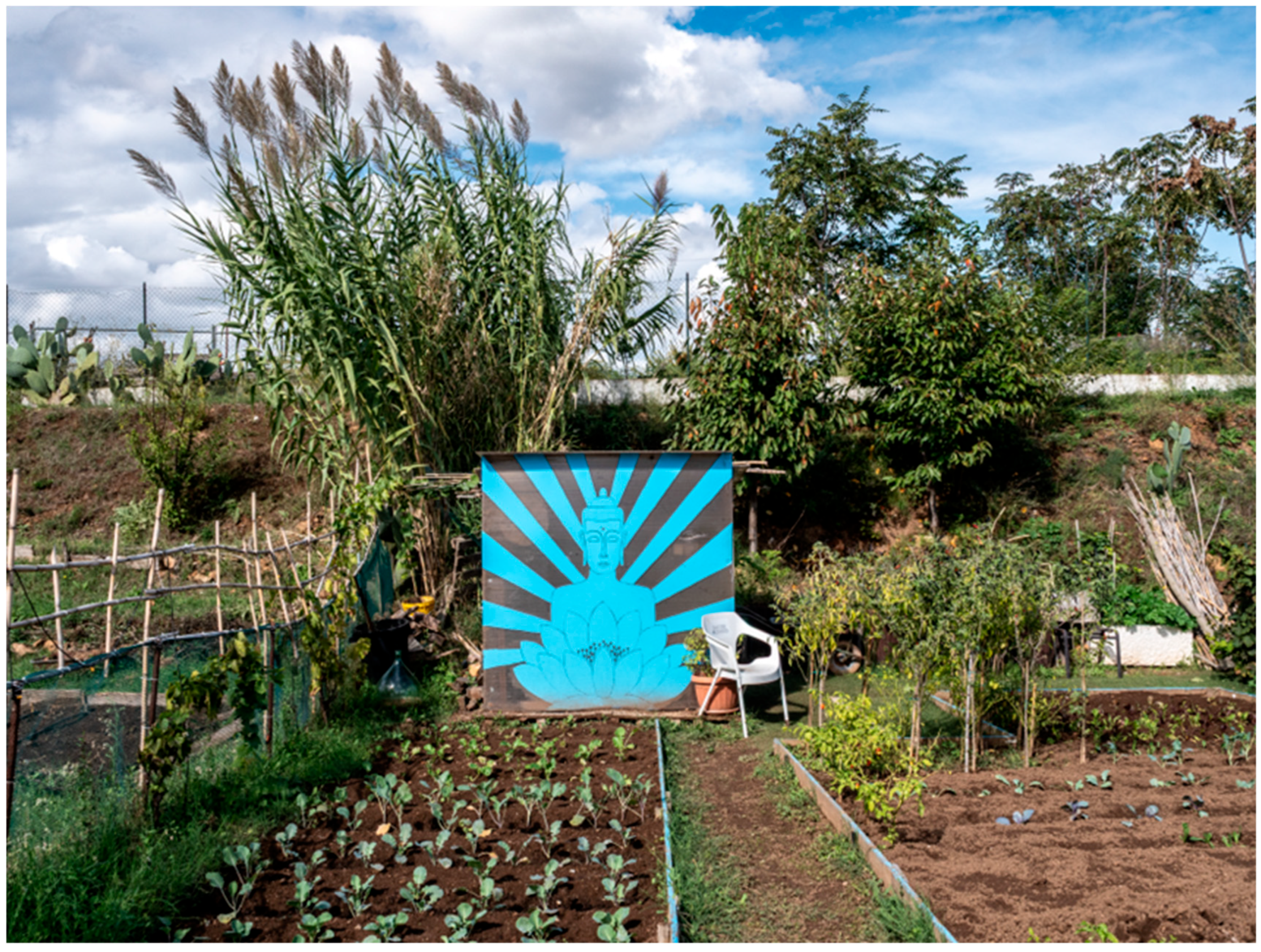 Sustainability 17 10574 g009