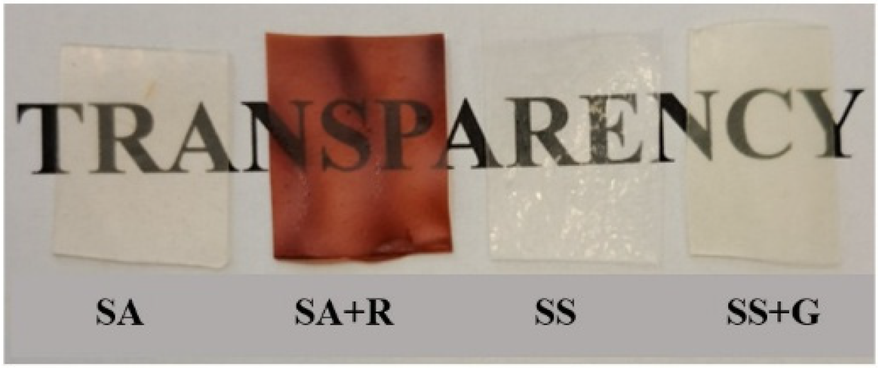 Sustainability 17 10592 g001