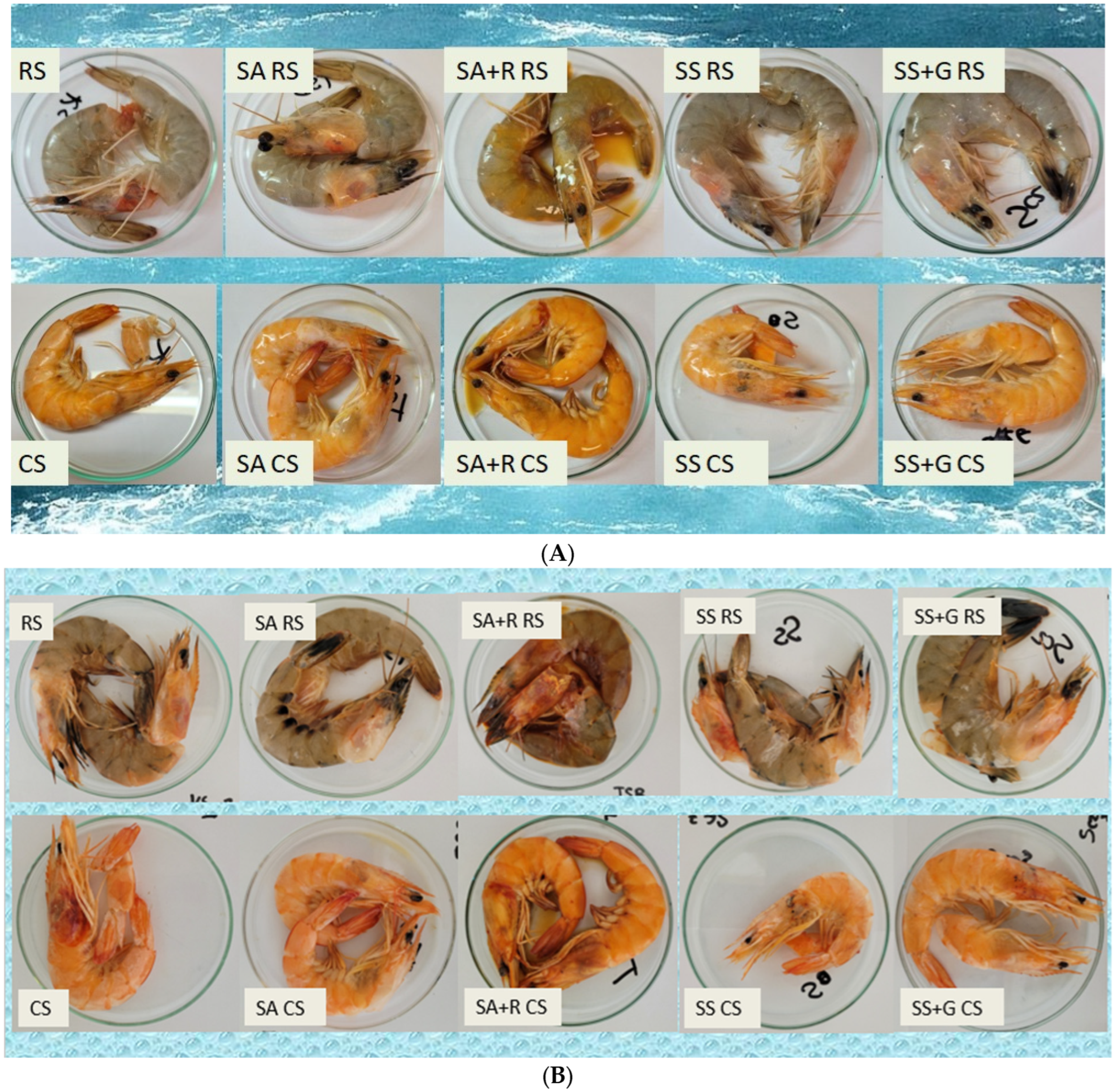 Sustainability 17 10592 g004