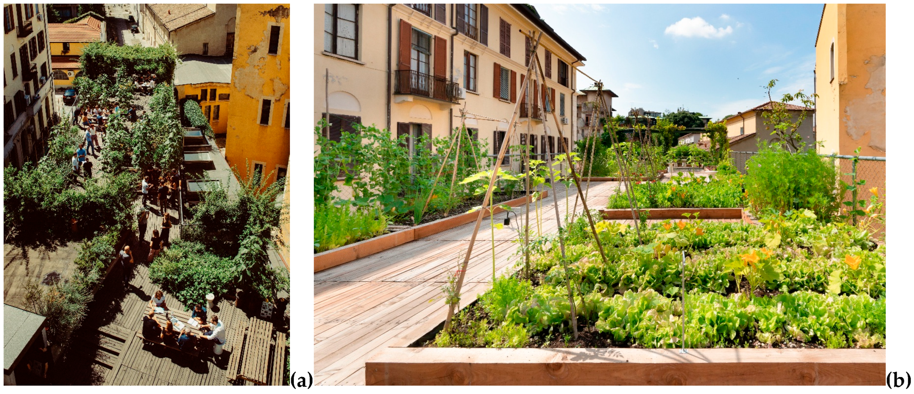 Sustainability 17 10609 g001