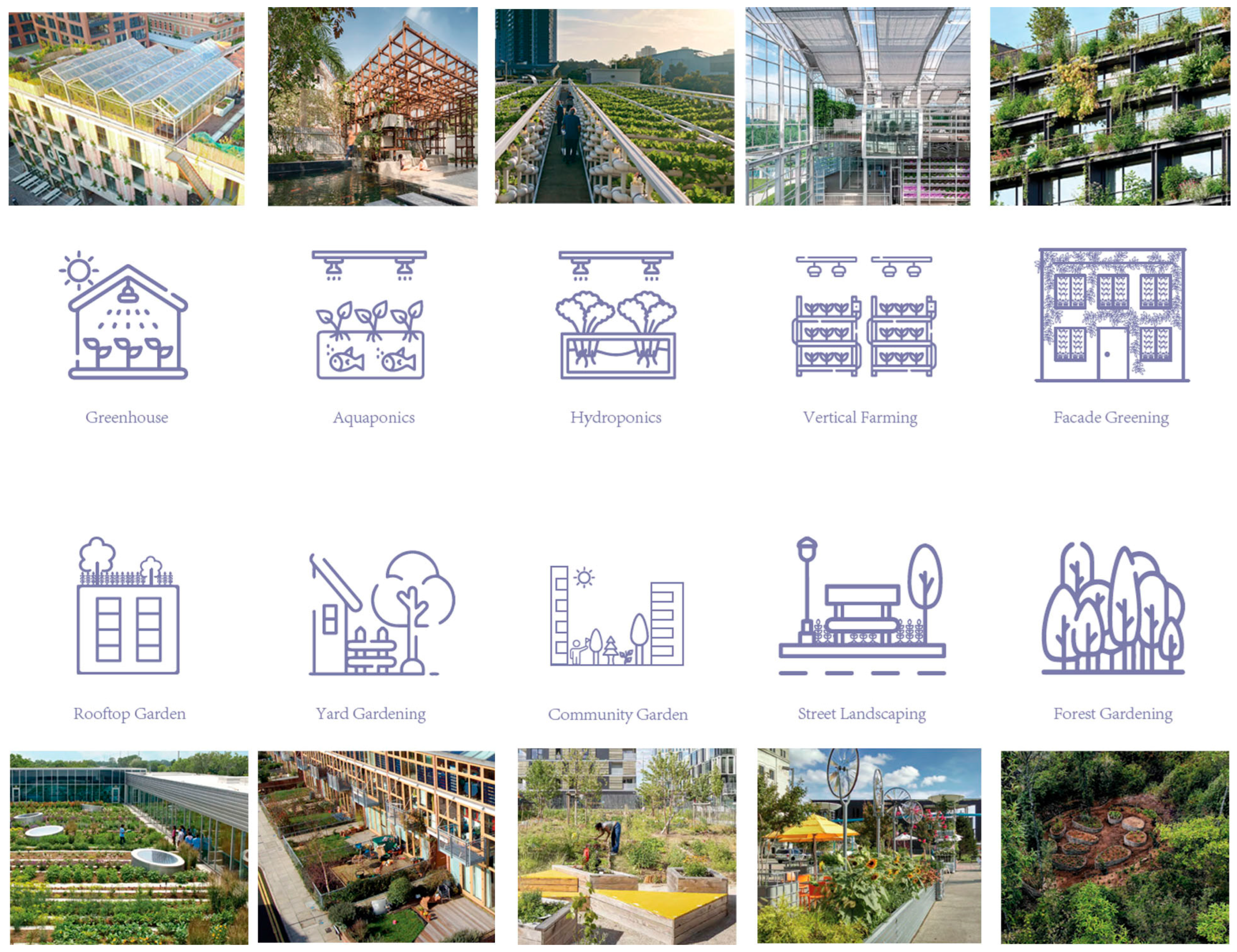 Sustainability 17 10609 g003