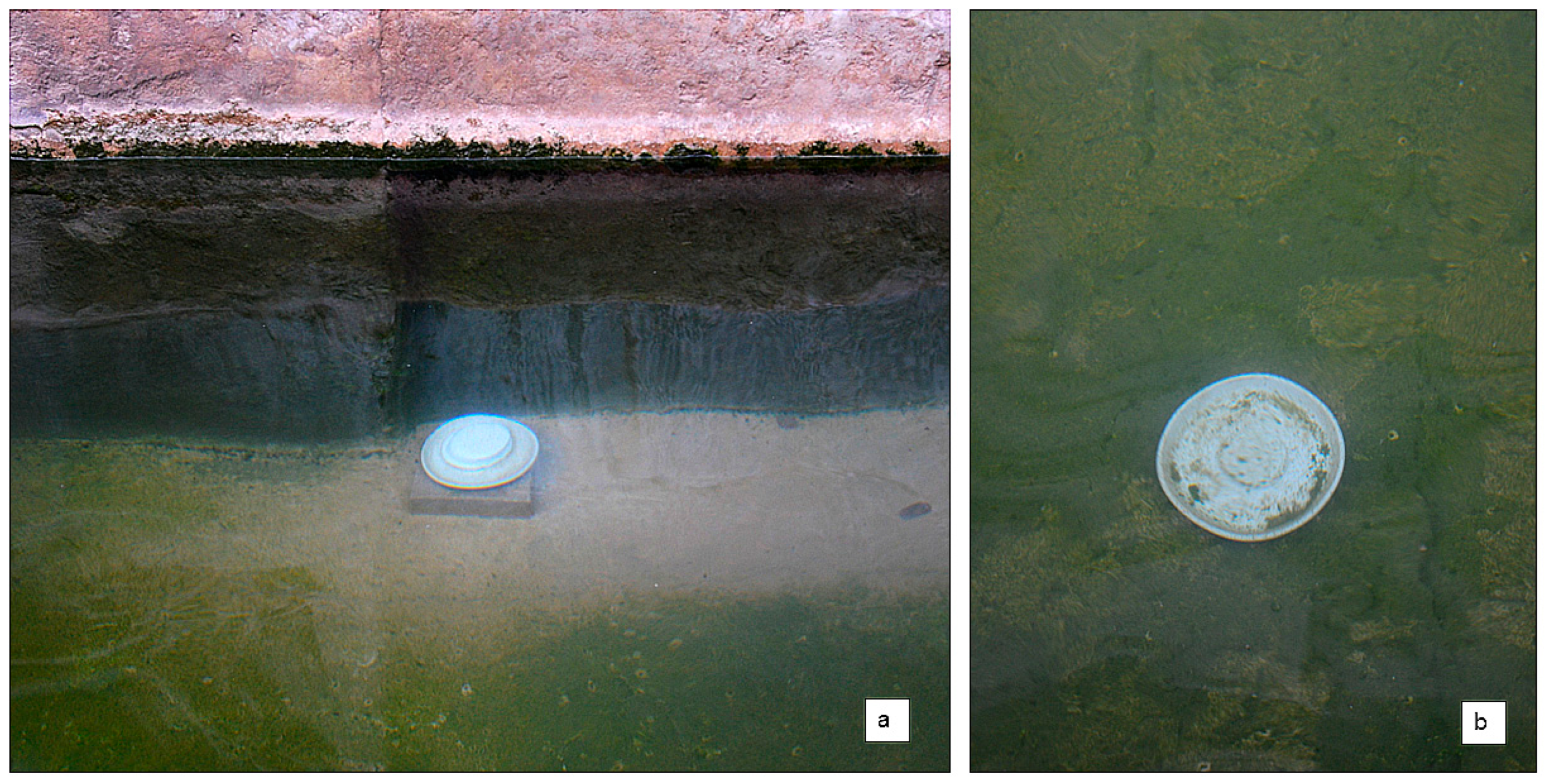 Sustainability 17 10610 g004