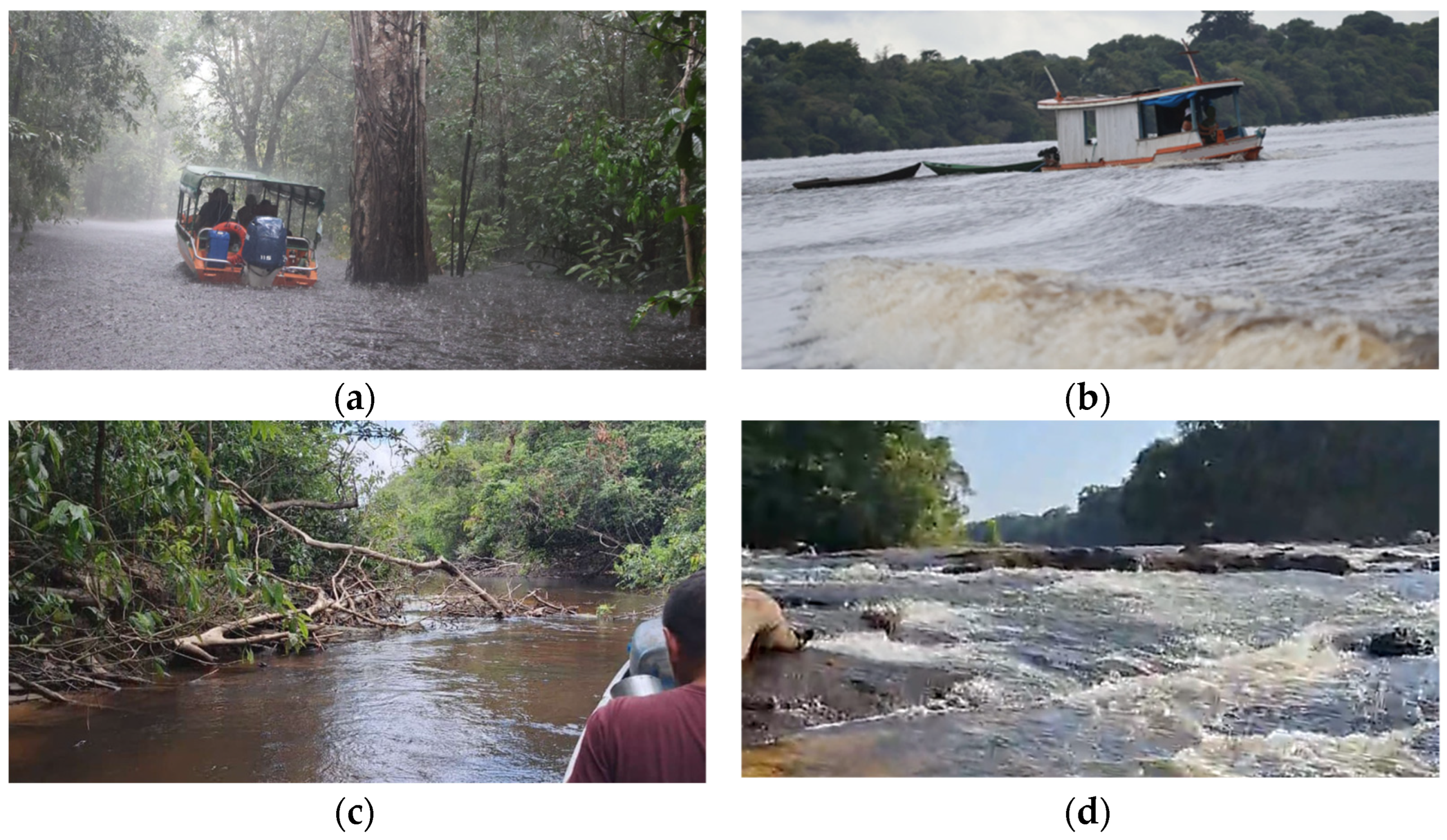 Sustainability 17 10673 g003a