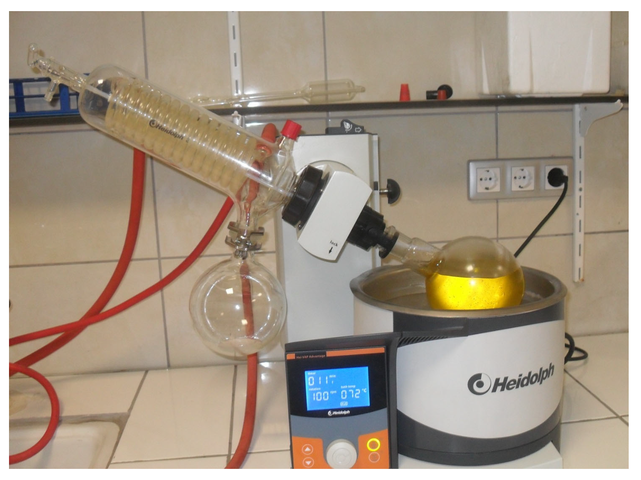 Sustainability 17 10689 g001