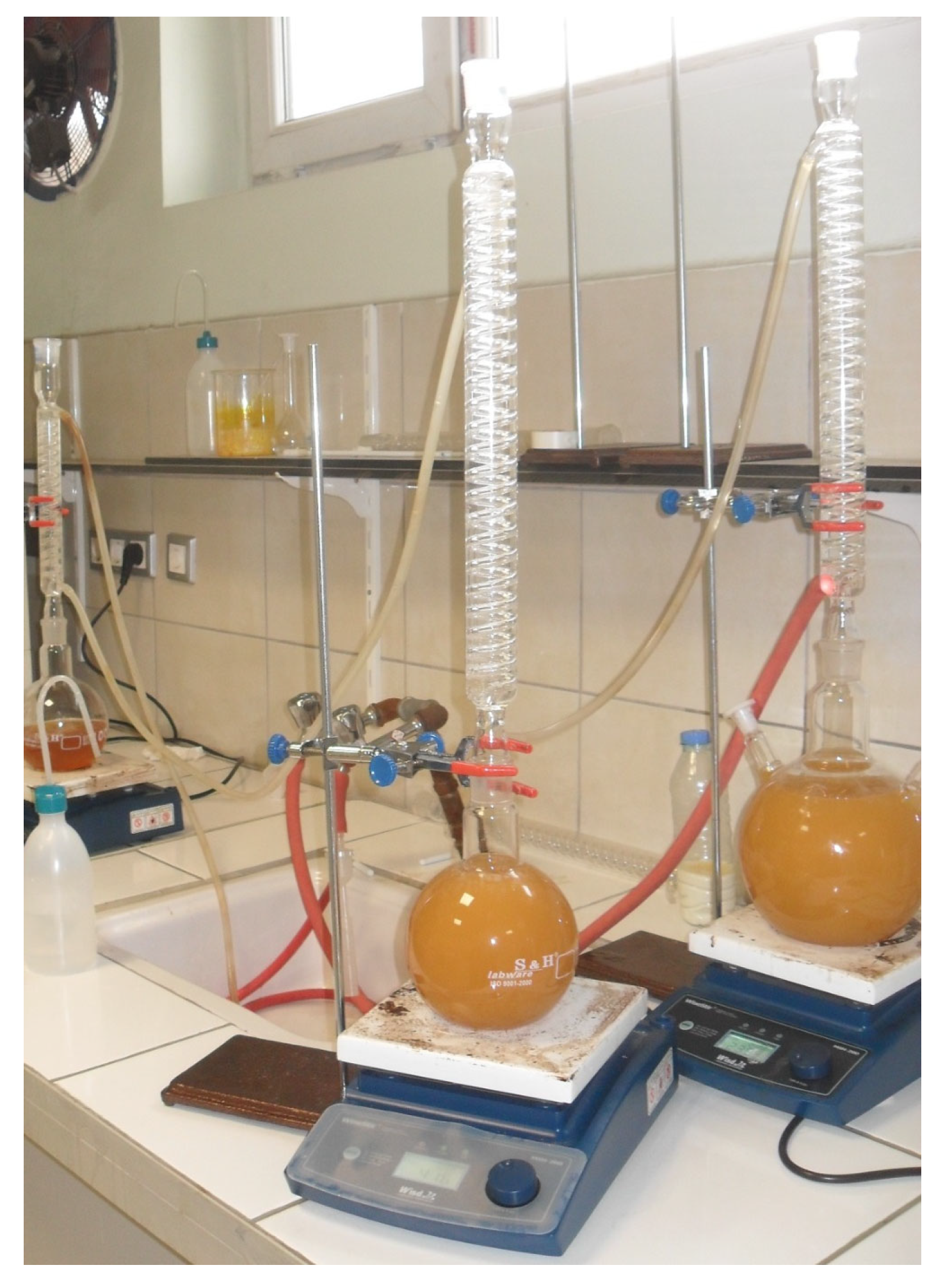 Sustainability 17 10689 g002