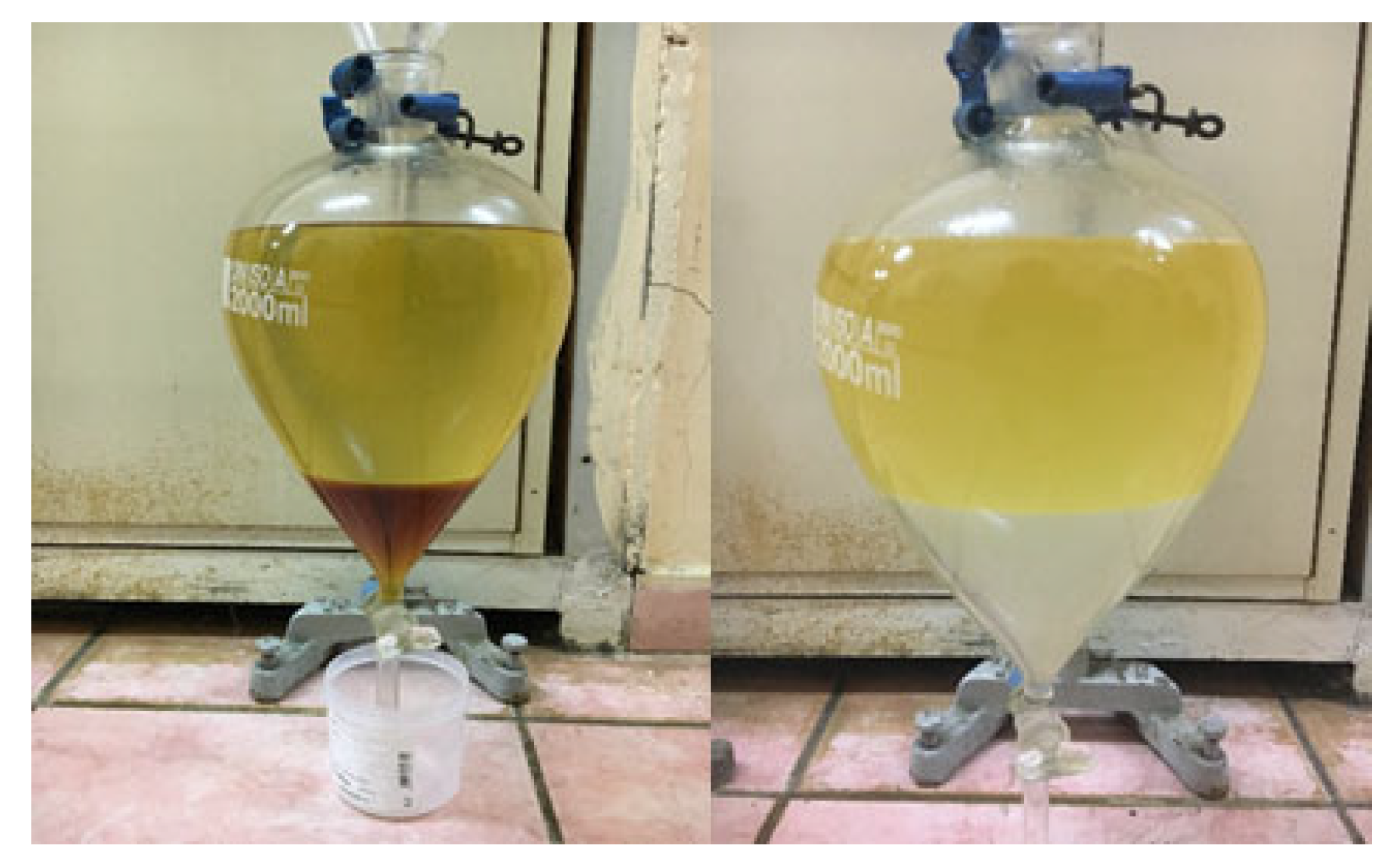 Sustainability 17 10689 g003