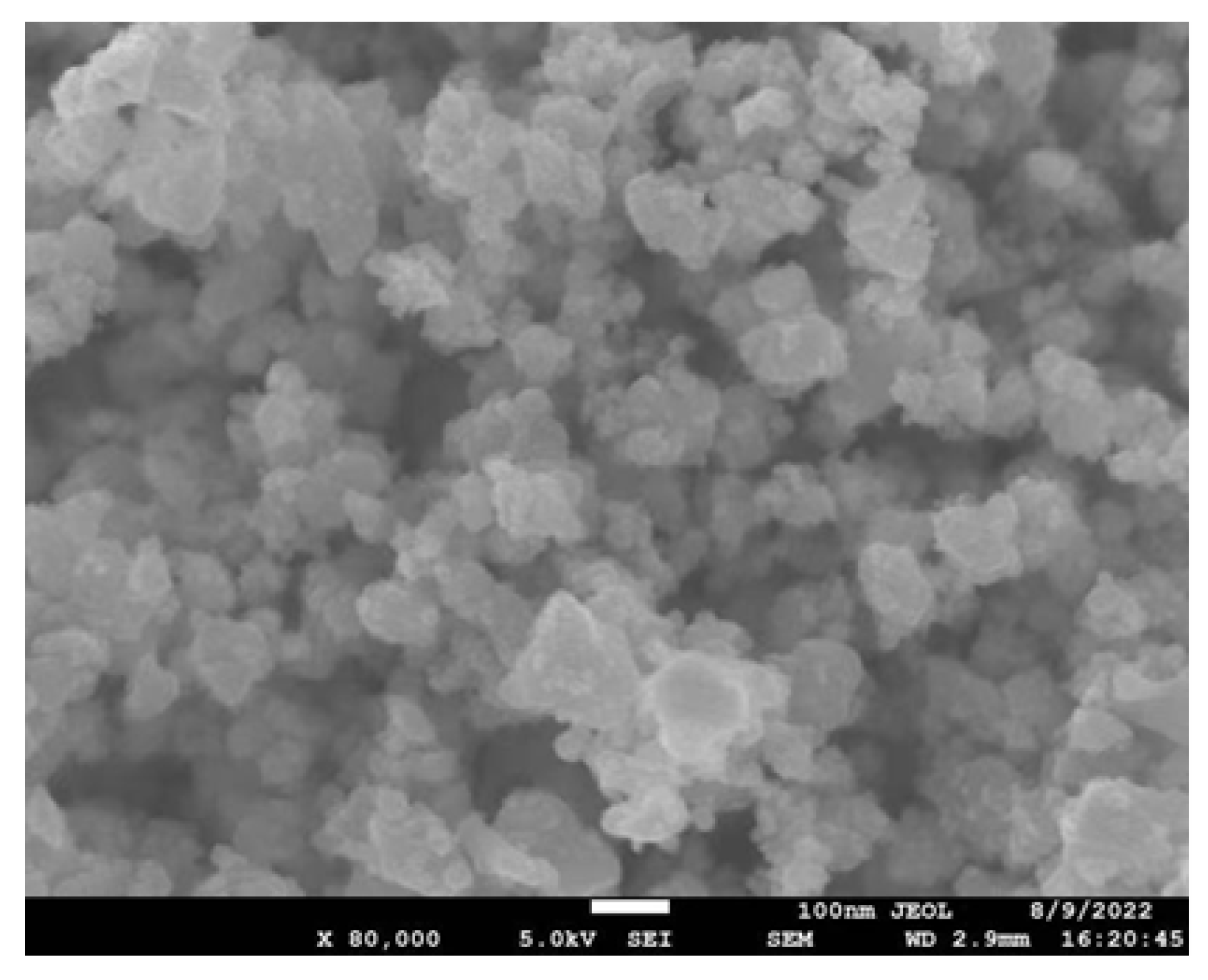 Sustainability 17 10689 g005