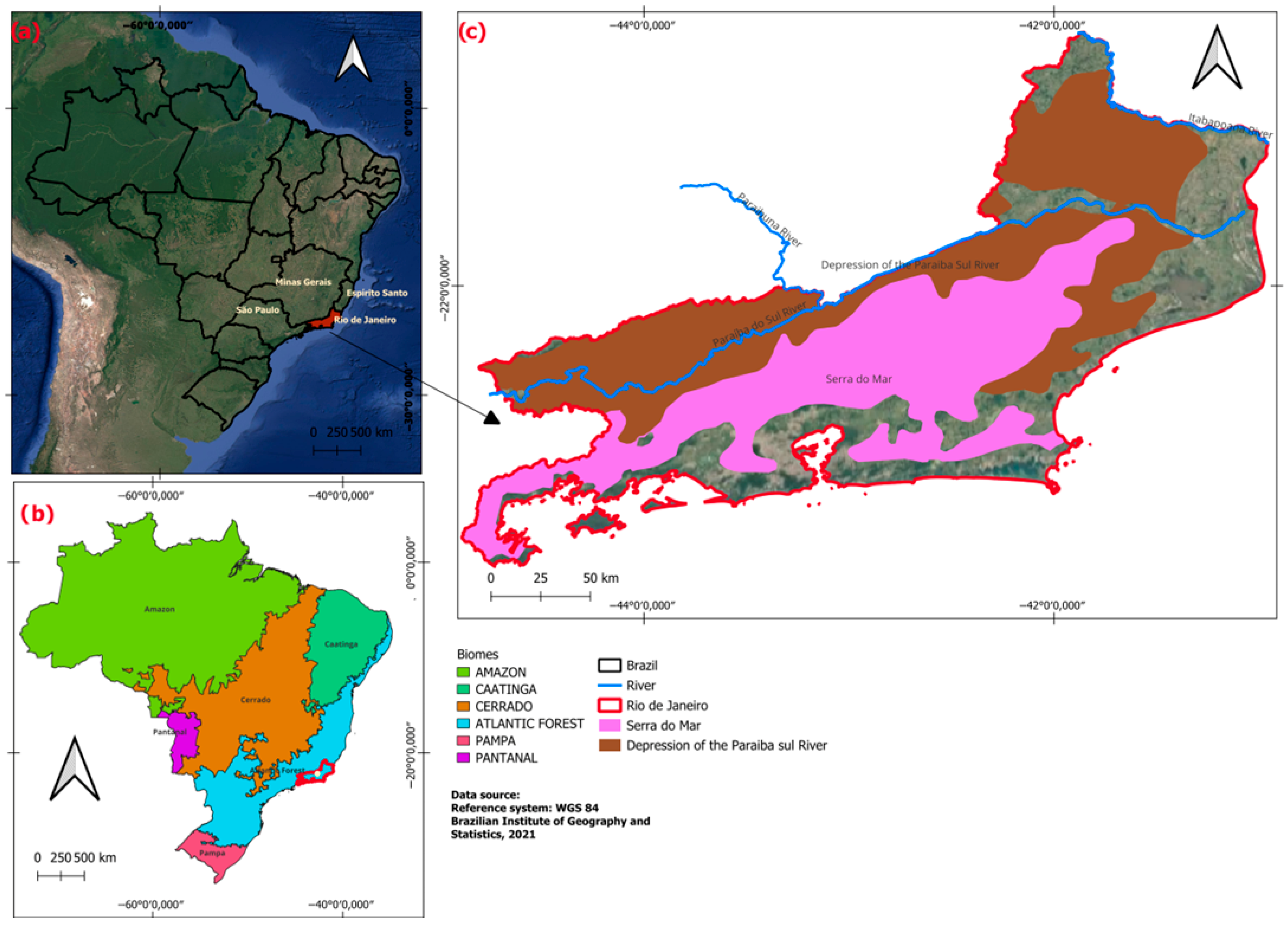 Sustainability 17 10764 g001