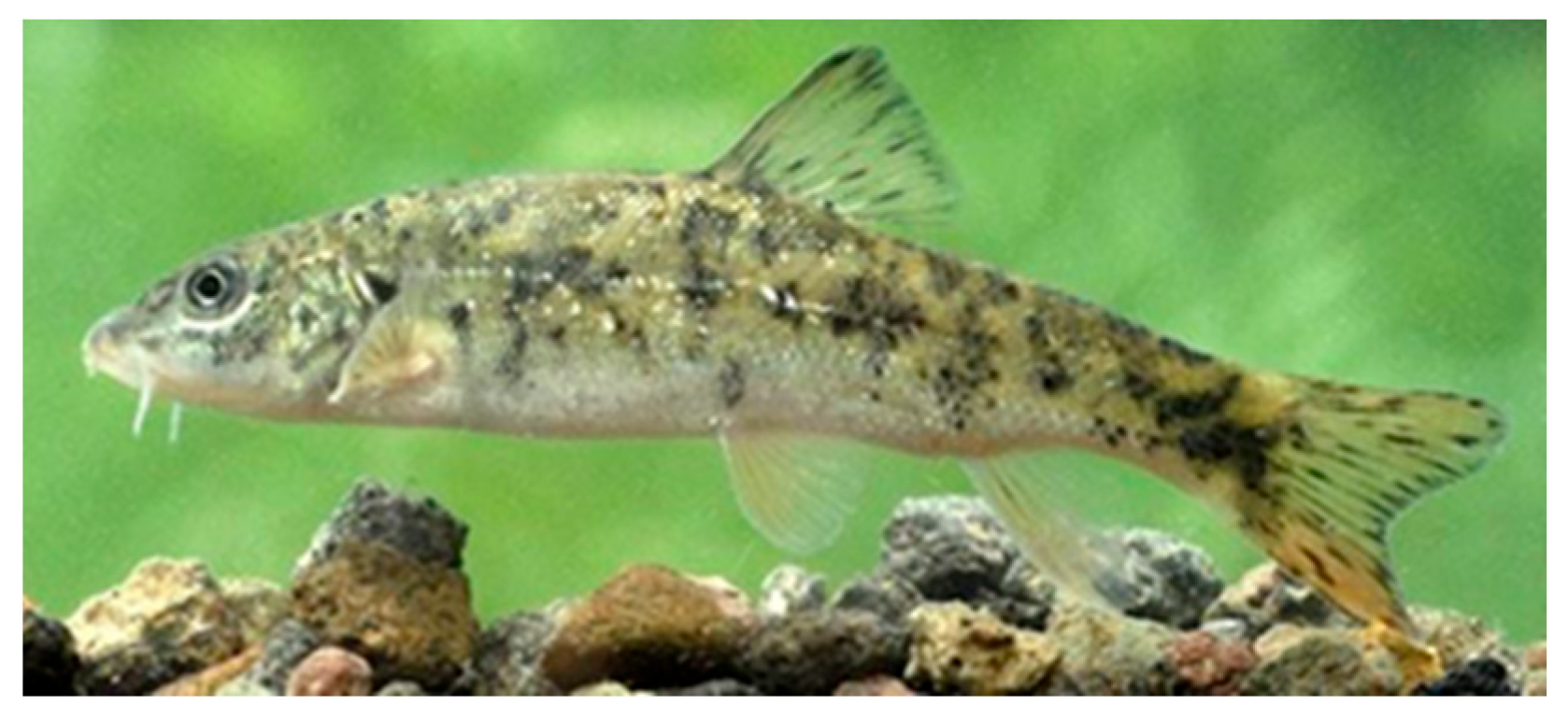 Sustainability 17 10803 g002