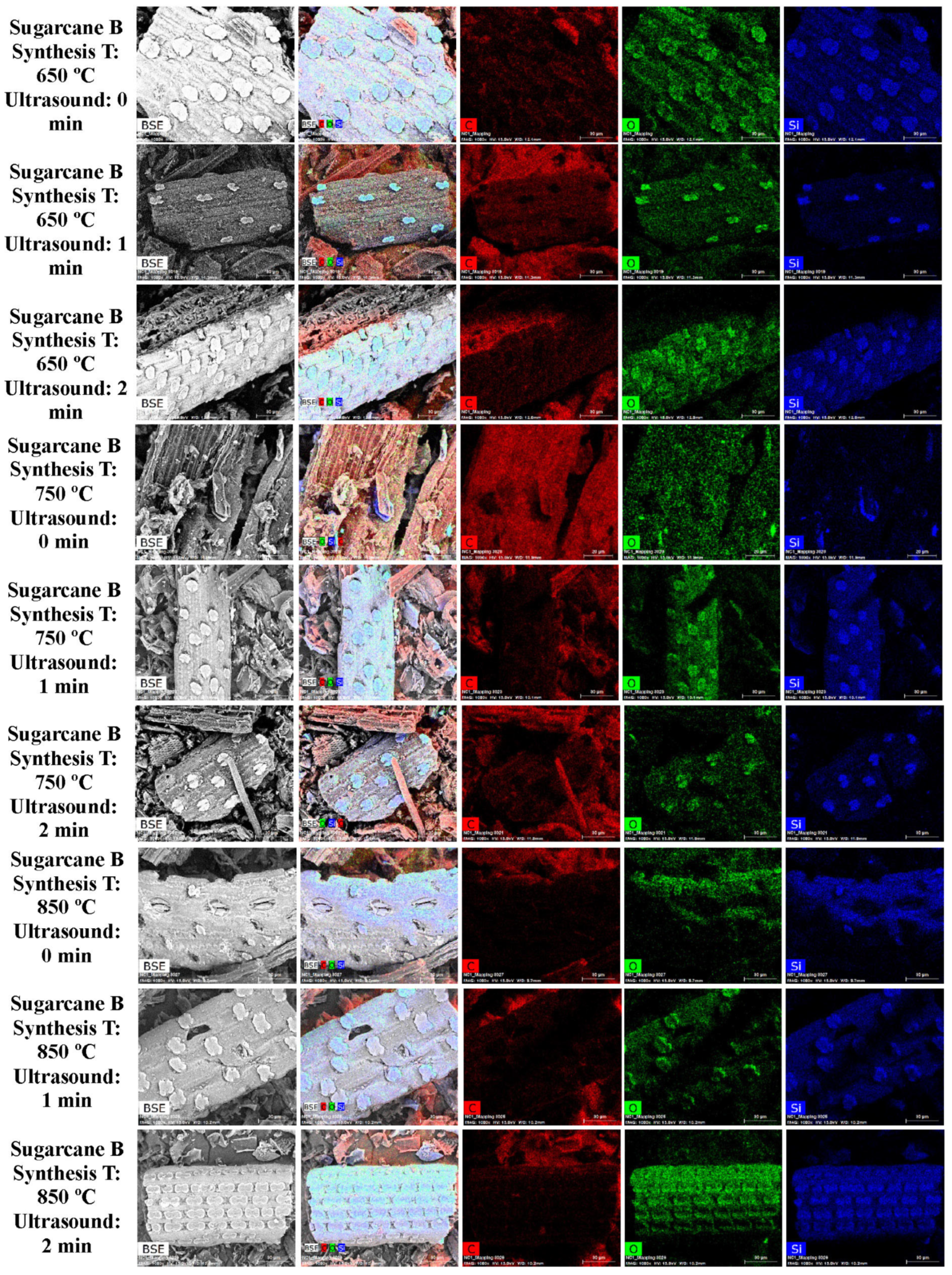 Sustainability 17 10813 g001
