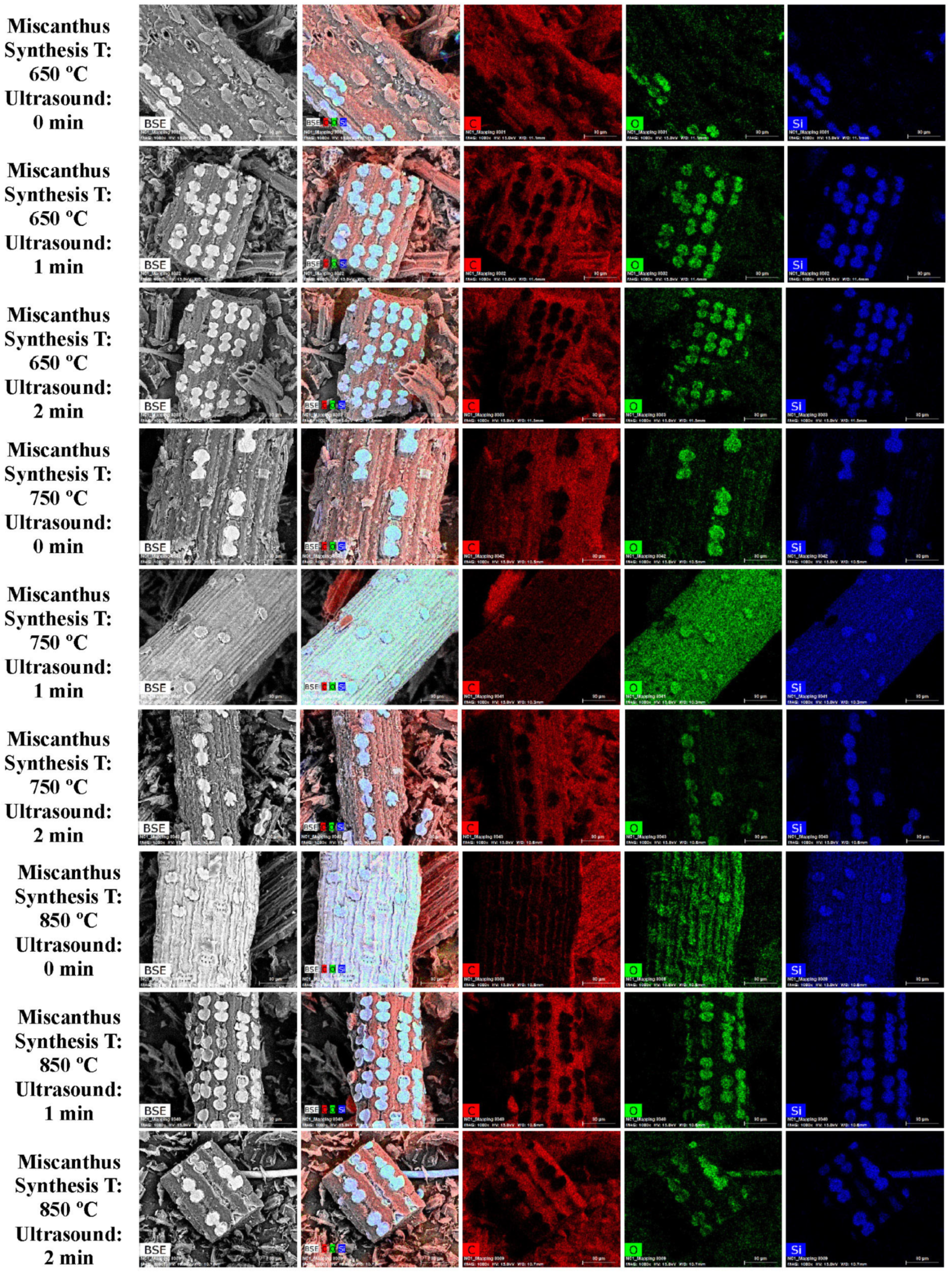 Sustainability 17 10813 g002
