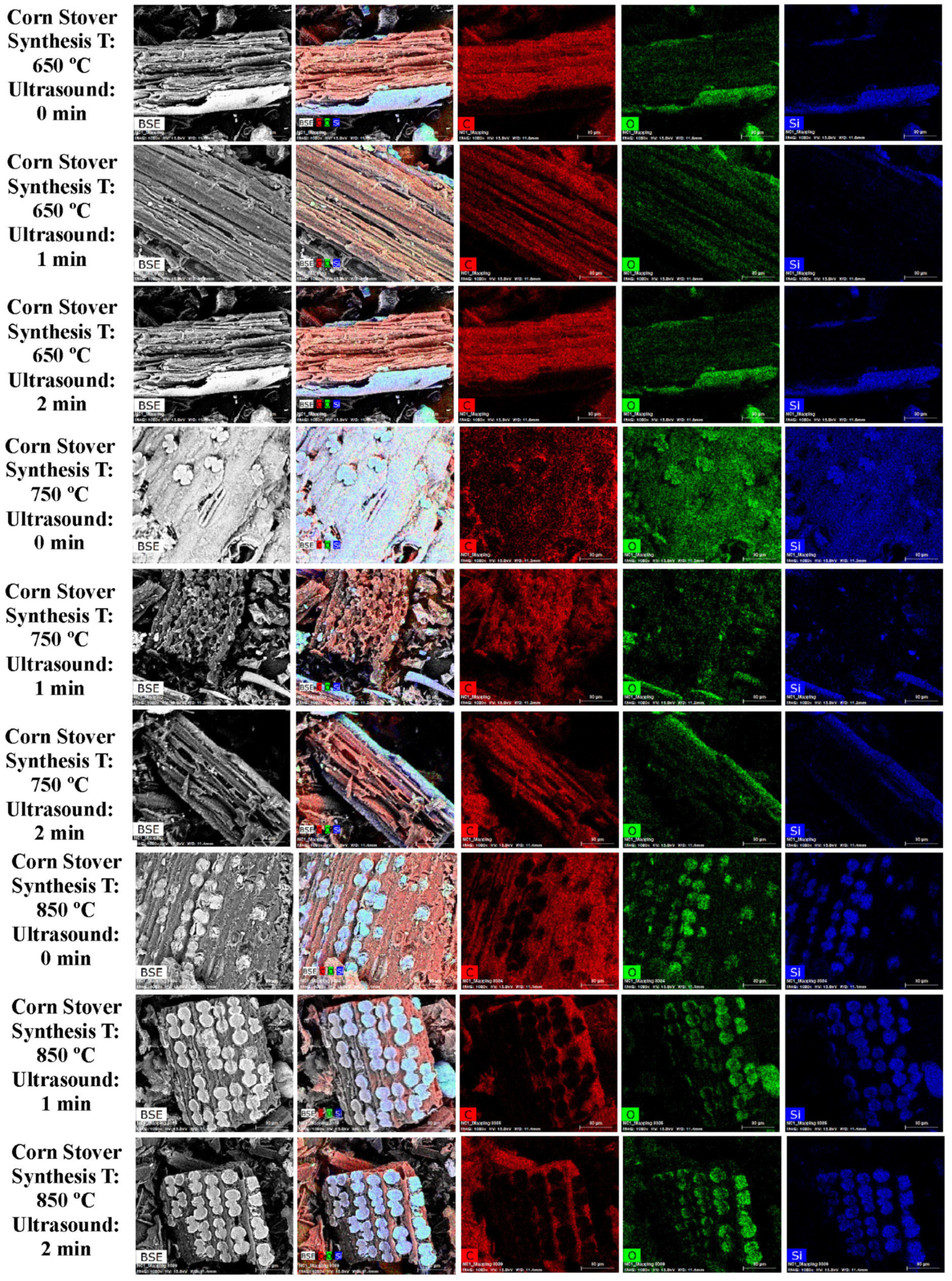 Sustainability 17 10813 g004