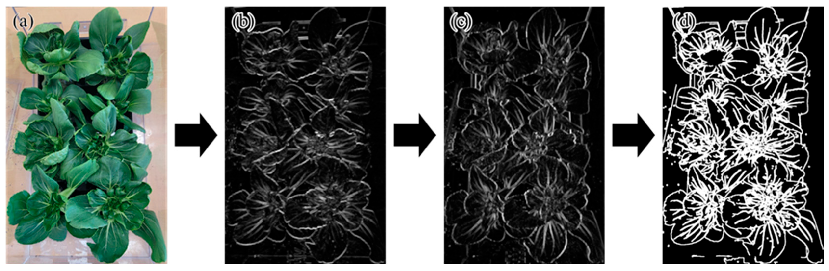Sustainability 17 10838 g008