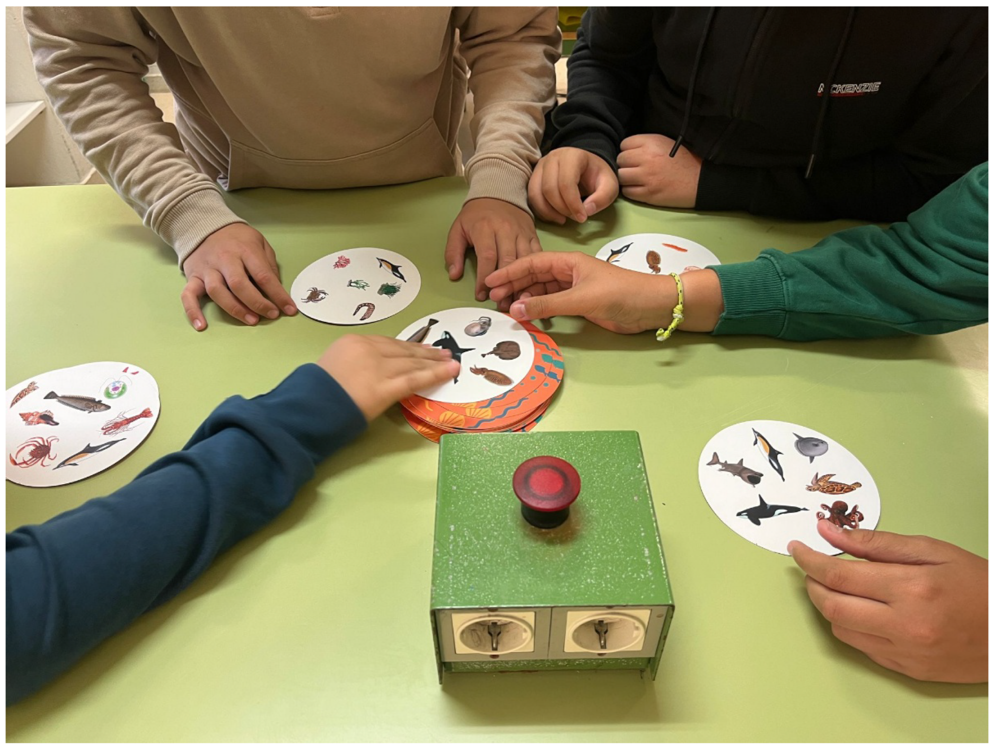 Sustainability 17 10840 g002 Sustainability 17 10840 g002