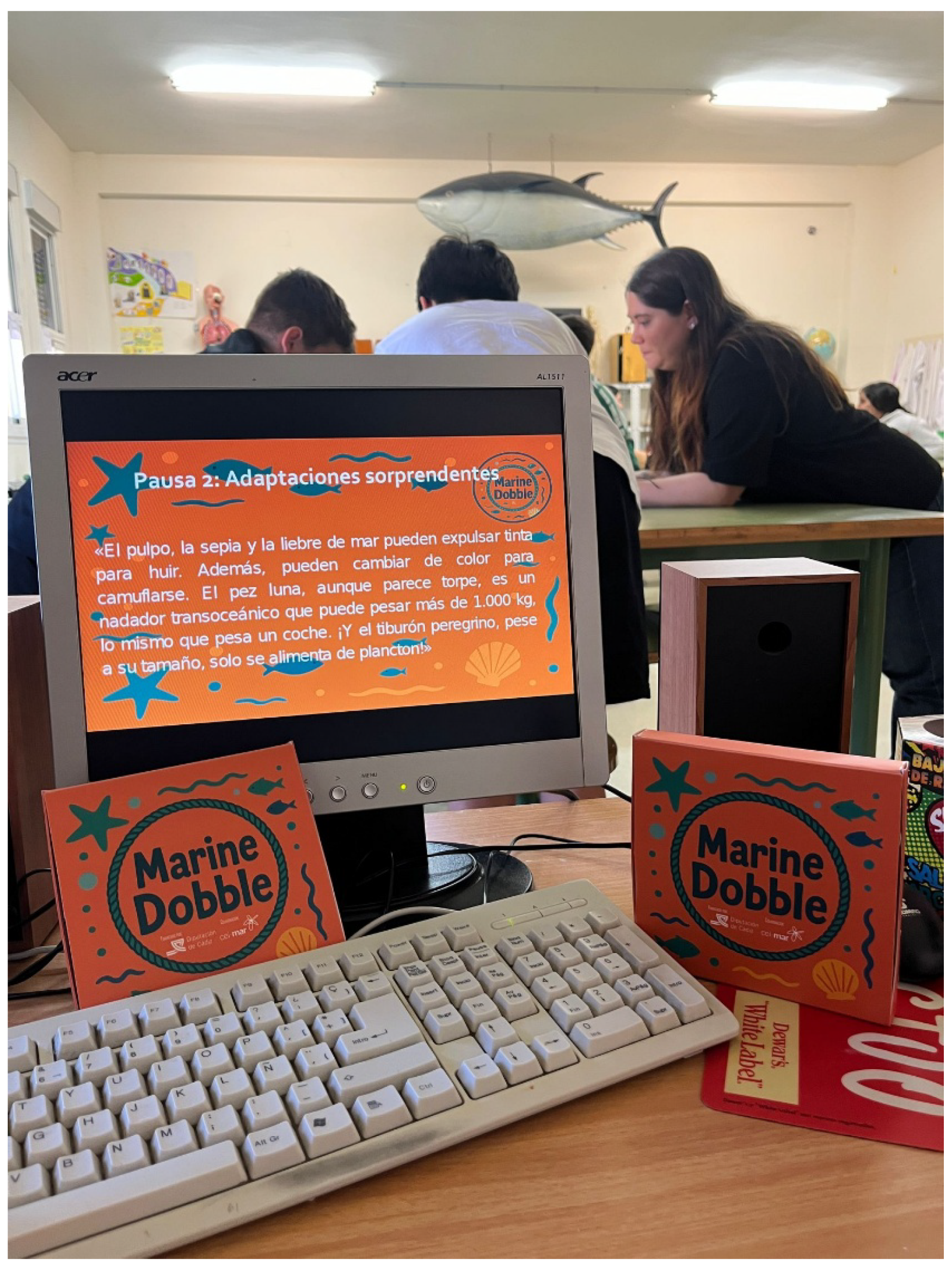 Sustainability 17 10840 g003 Sustainability 17 10840 g003