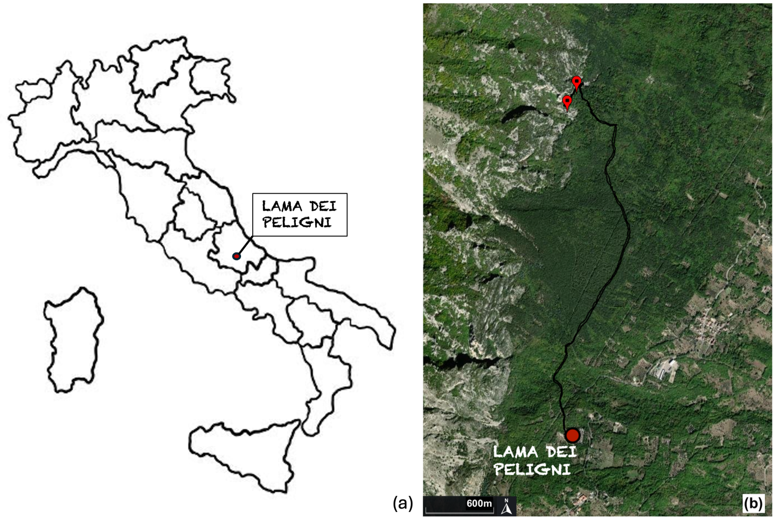 Sustainability 17 10861 g001 Sustainability 17 10861 g001