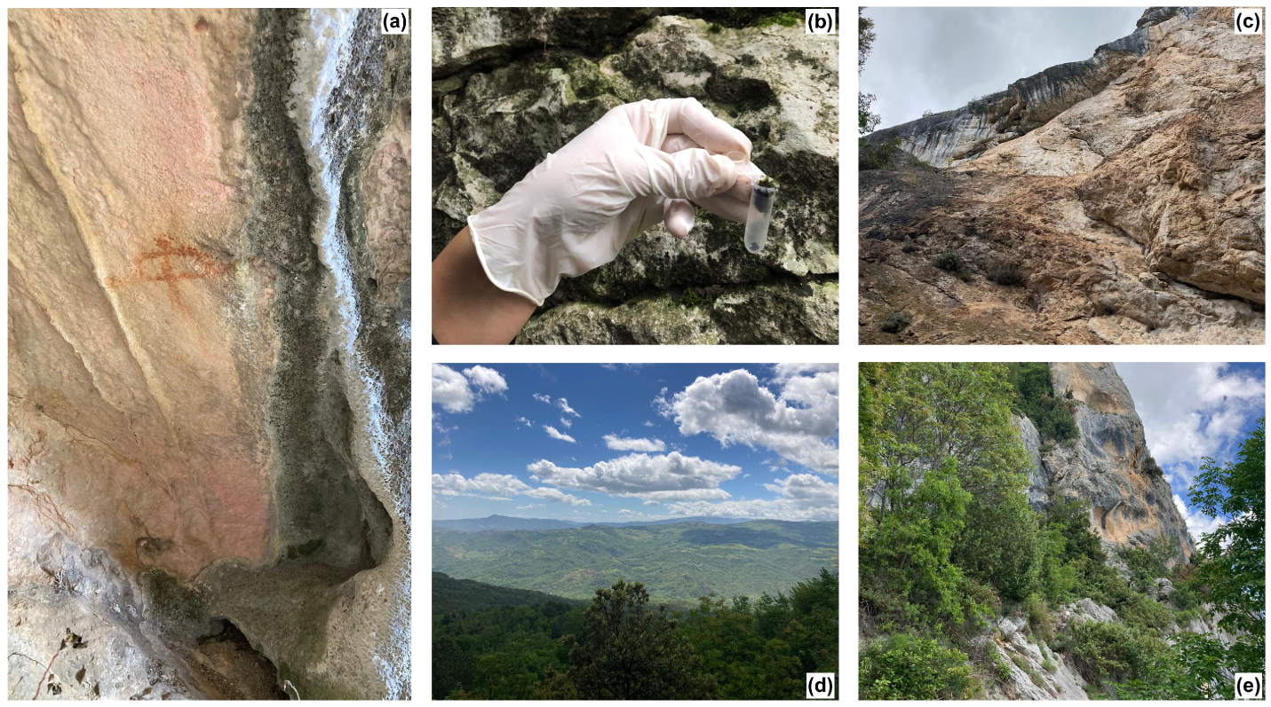 Sustainability 17 10861 g003 Sustainability 17 10861 g003