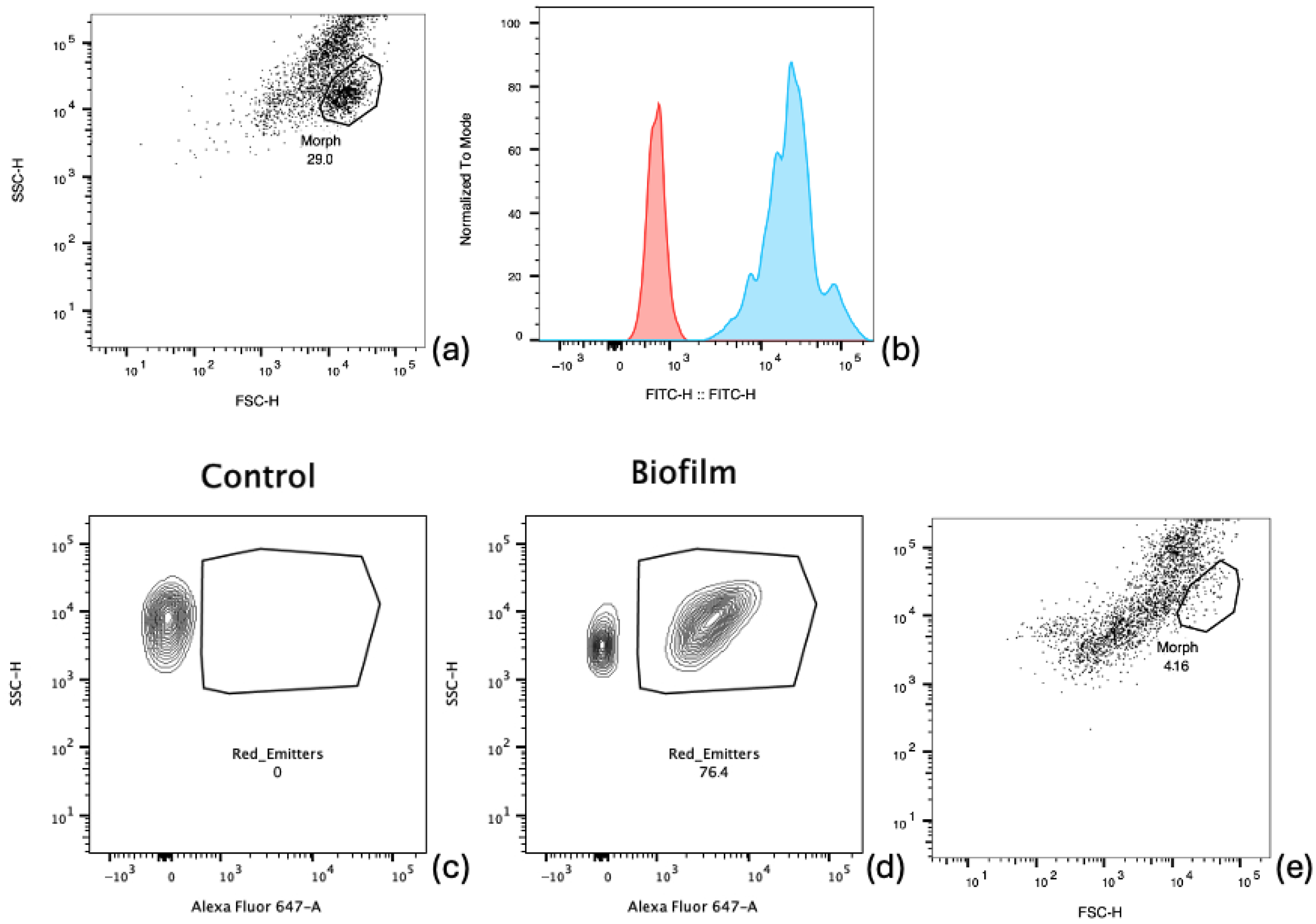 Sustainability 17 10861 g006 Sustainability 17 10861 g006