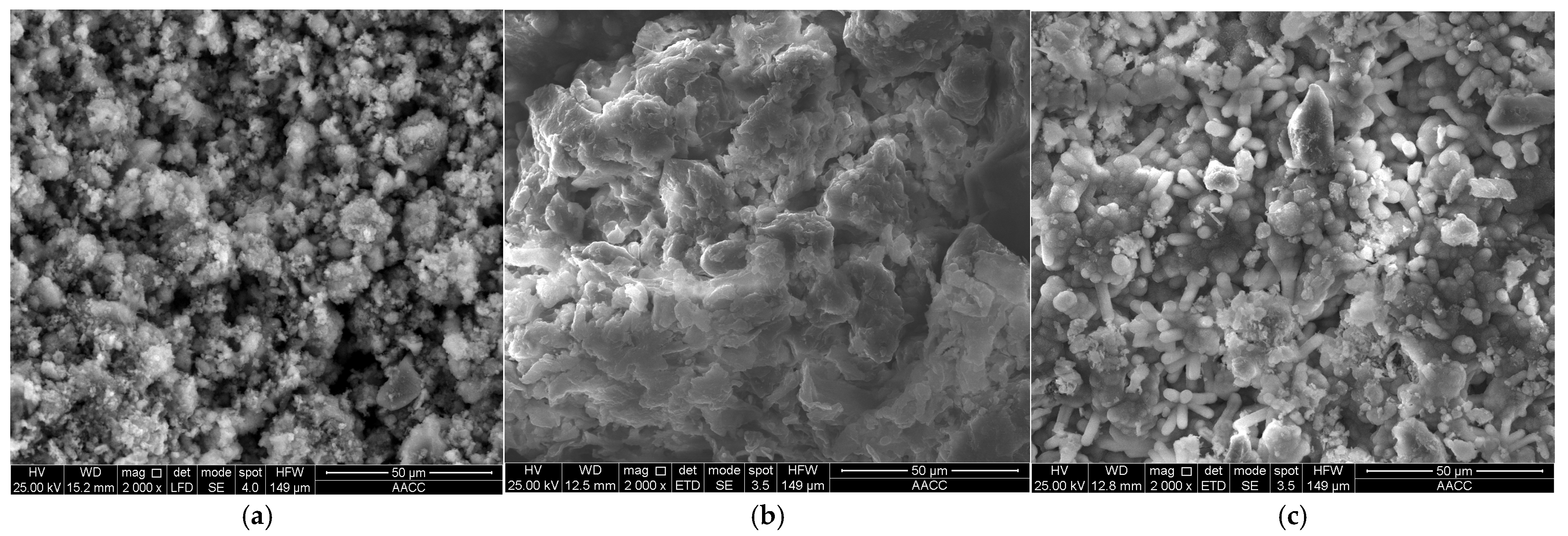 Sustainability 17 10910 g003