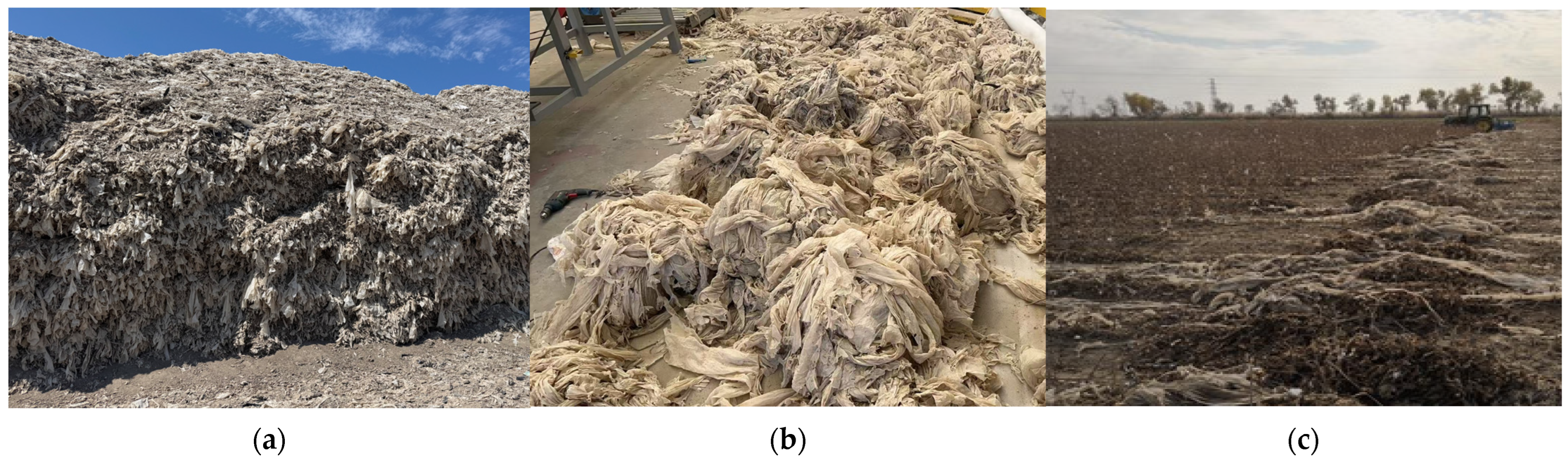 Sustainability 17 10926 g001 Sustainability 17 10926 g001