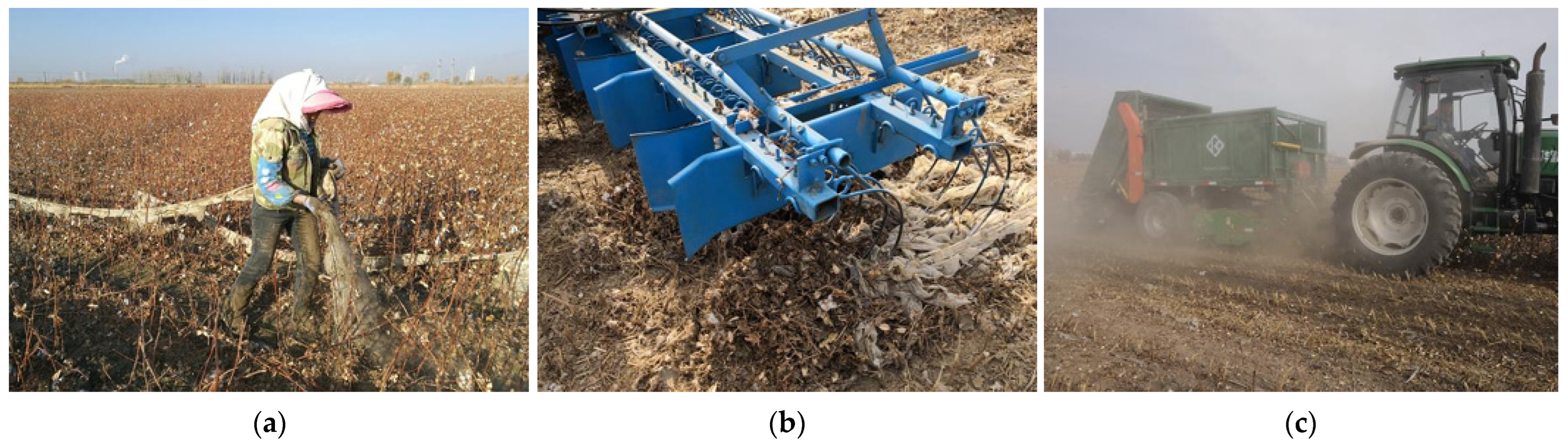 Sustainability 17 10926 g002 Sustainability 17 10926 g002