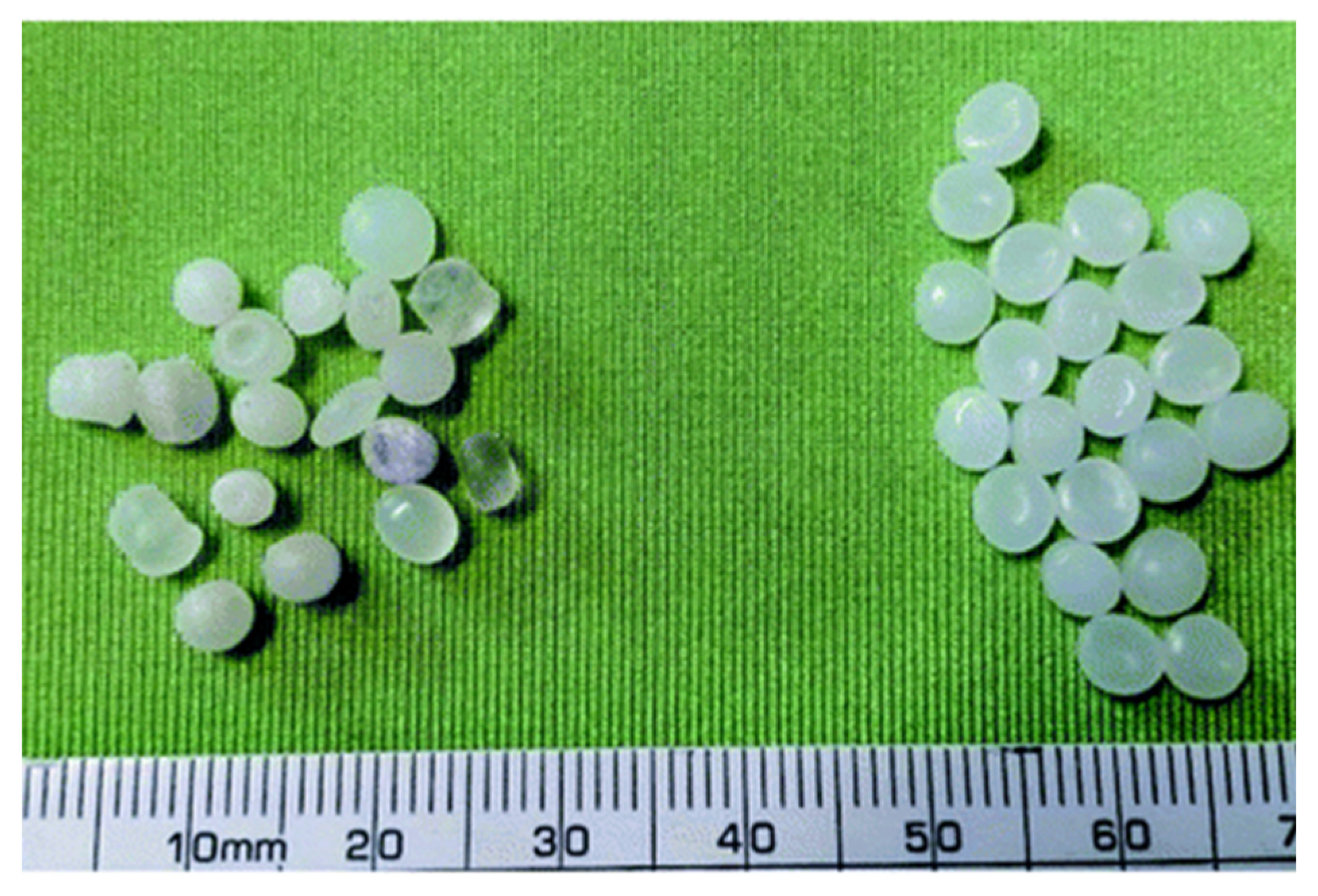 Sustainability 17 10954 g001 Sustainability 17 10954 g001