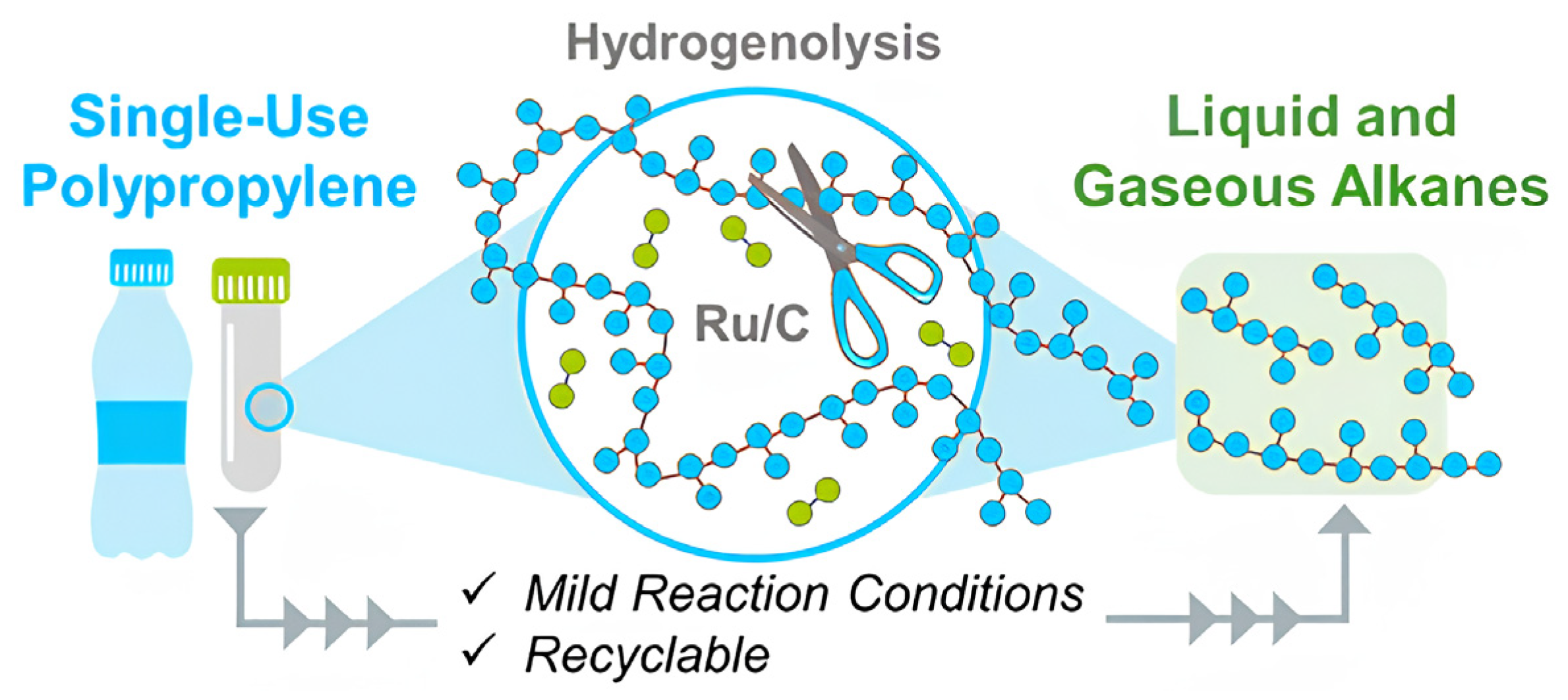Sustainability 17 10954 g004 Sustainability 17 10954 g004