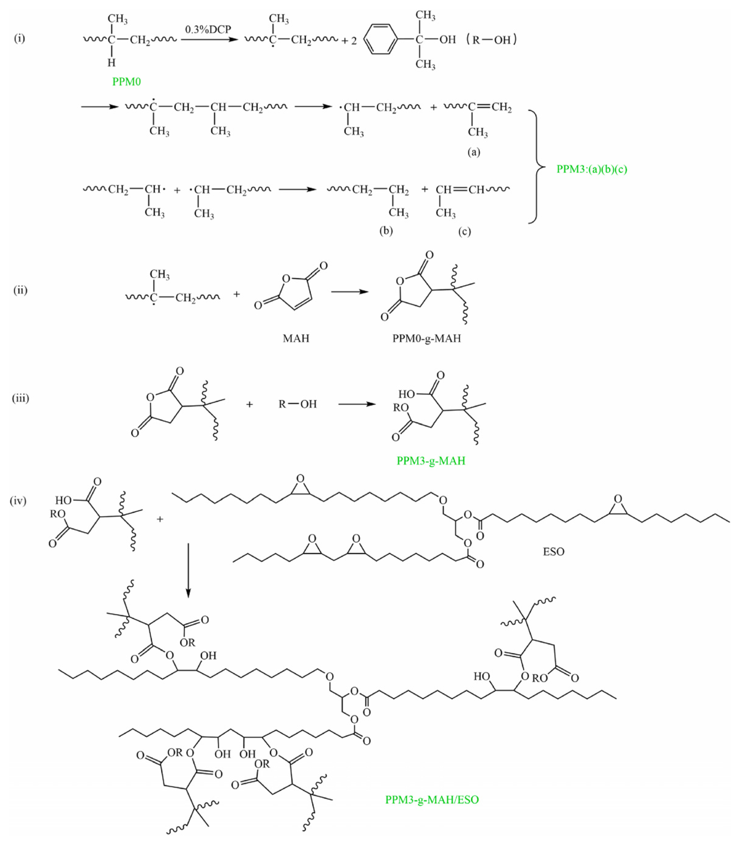 Sustainability 17 10954 g007 Sustainability 17 10954 g007