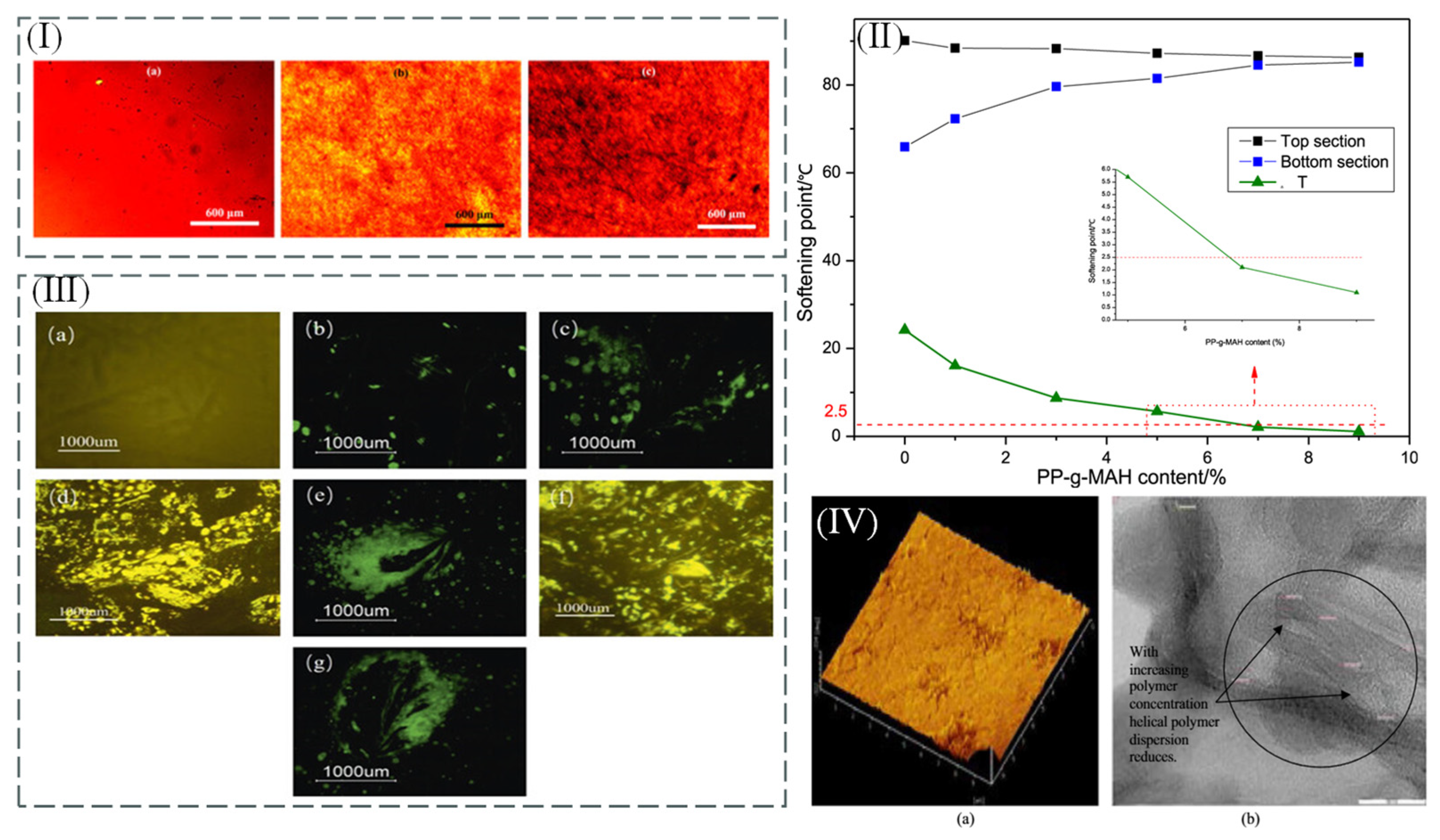 Sustainability 17 10954 g010 Sustainability 17 10954 g010