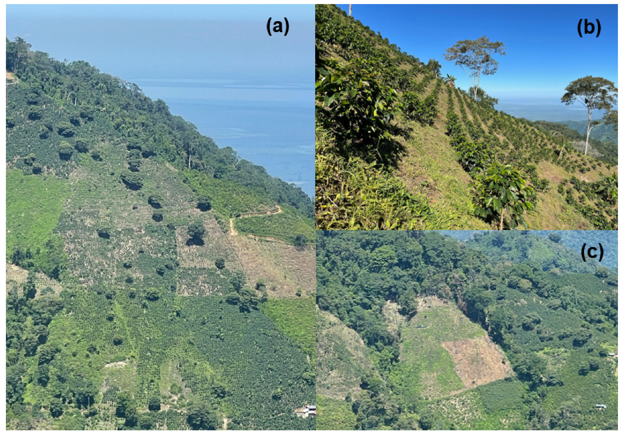 Sustainability 17 10975 g005 Sustainability 17 10975 g005