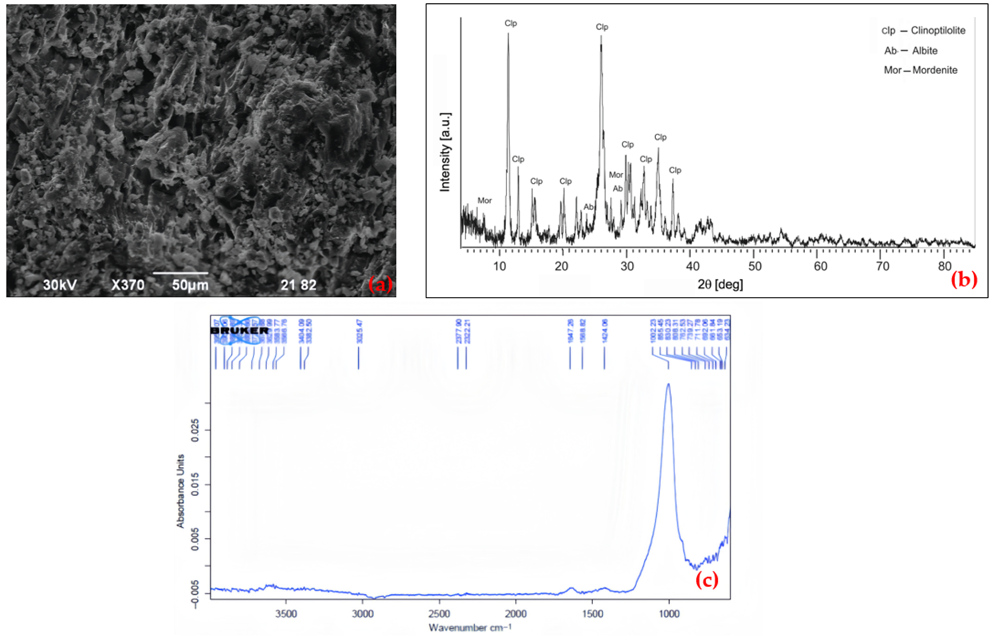 Sustainability 17 10977 g004 Sustainability 17 10977 g004