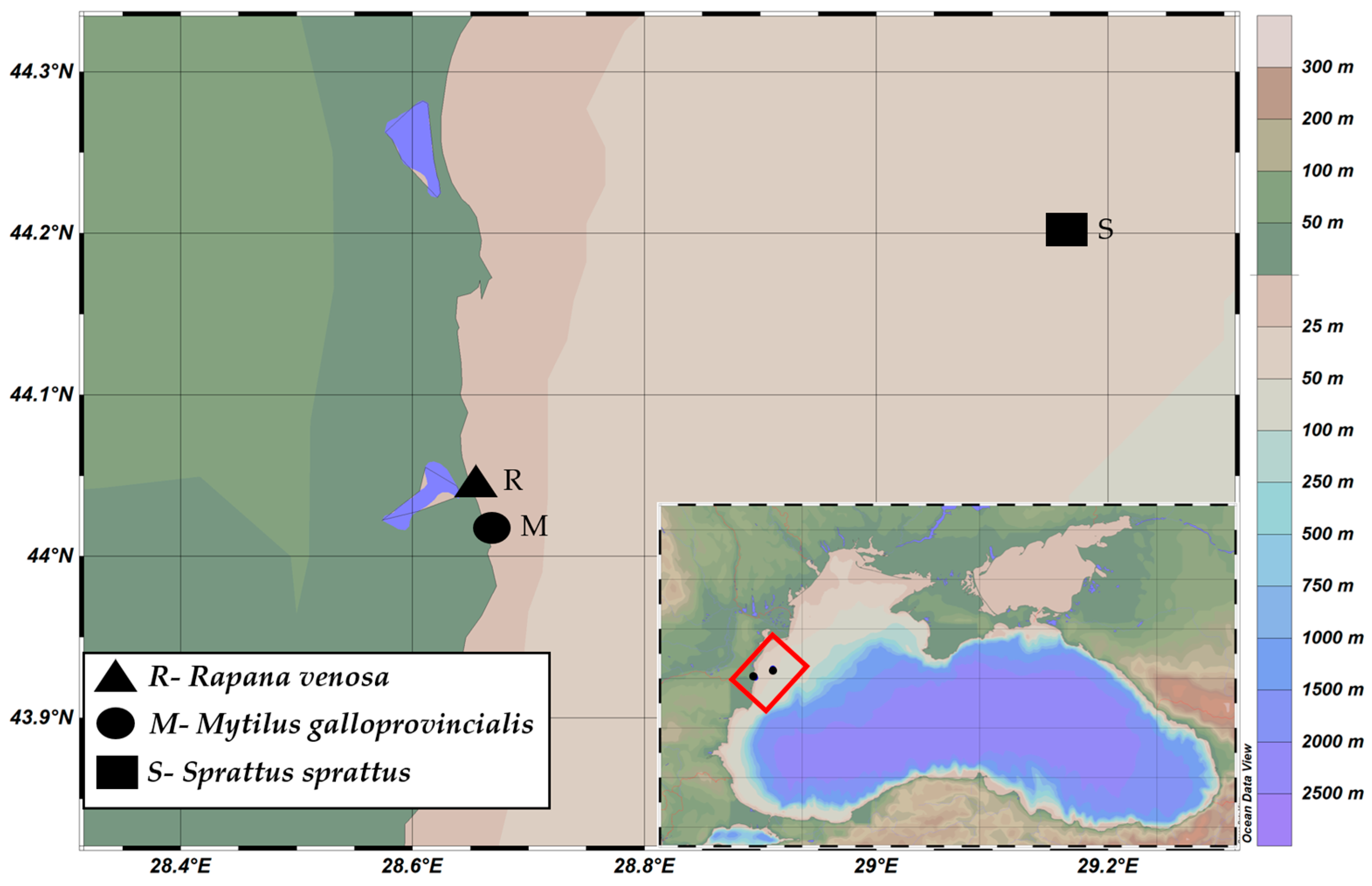 Sustainability 17 11006 g001 Sustainability 17 11006 g001