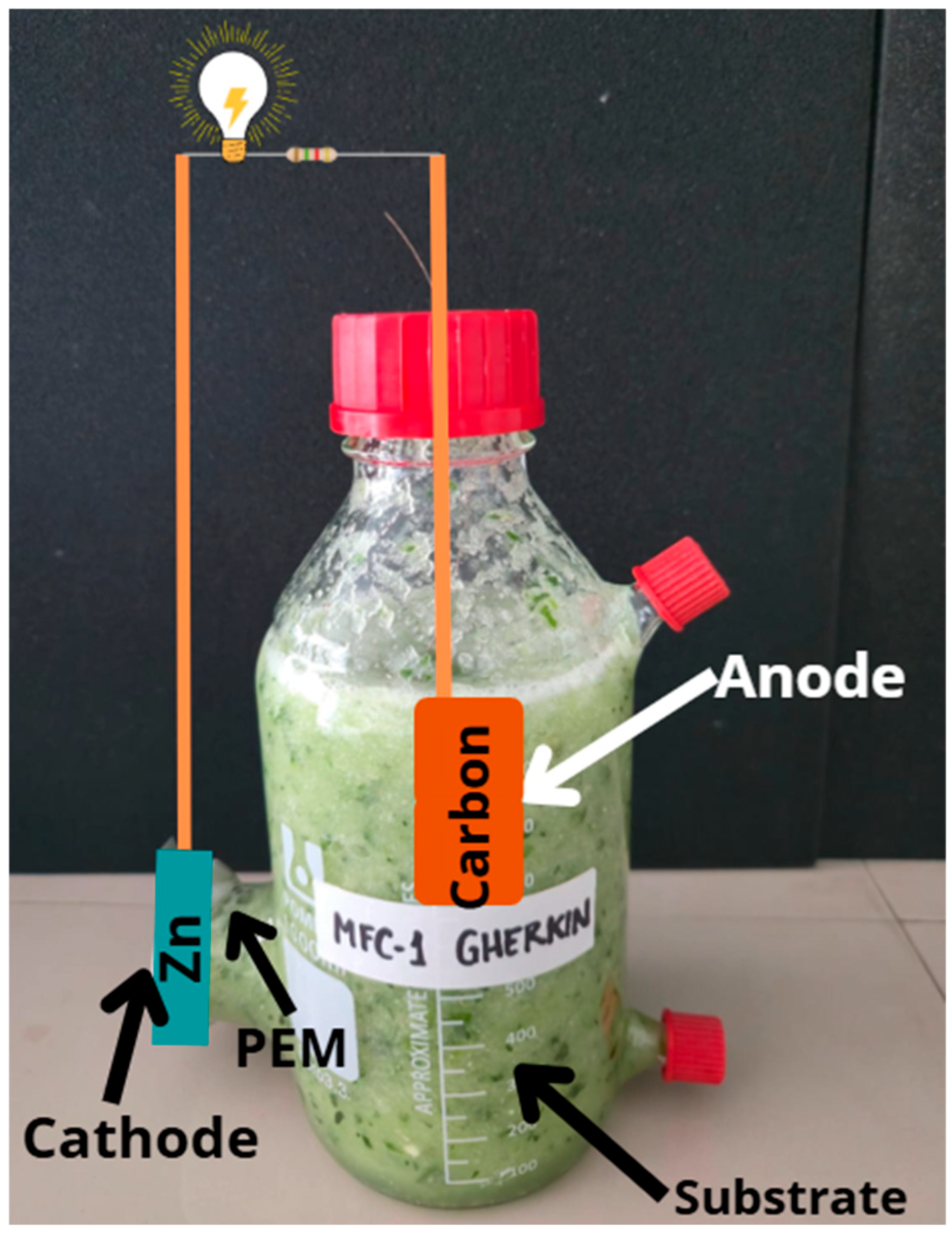 Sustainability 17 11007 g001 Sustainability 17 11007 g001