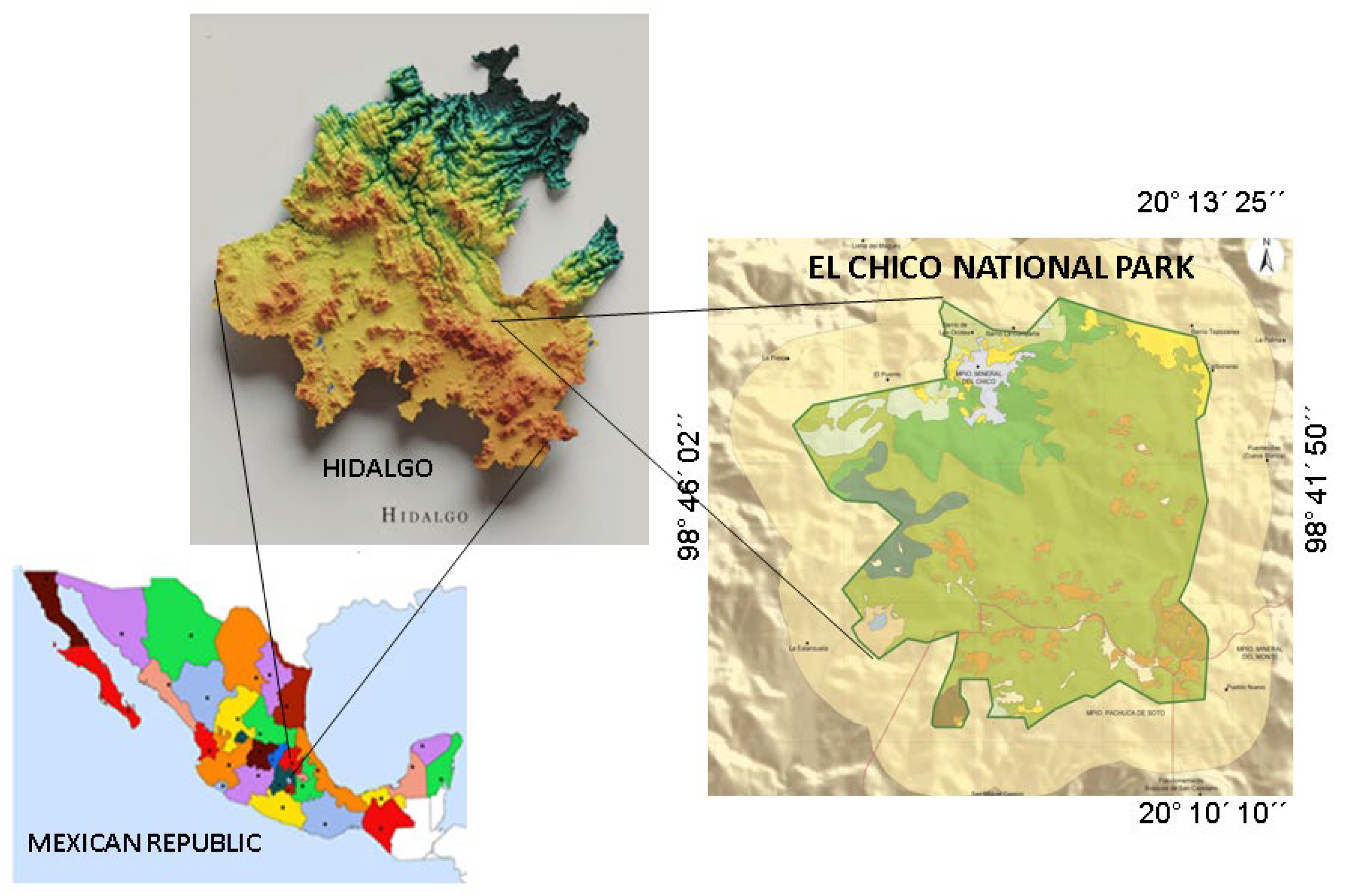 Sustainability 17 11028 g001 Sustainability 17 11028 g001