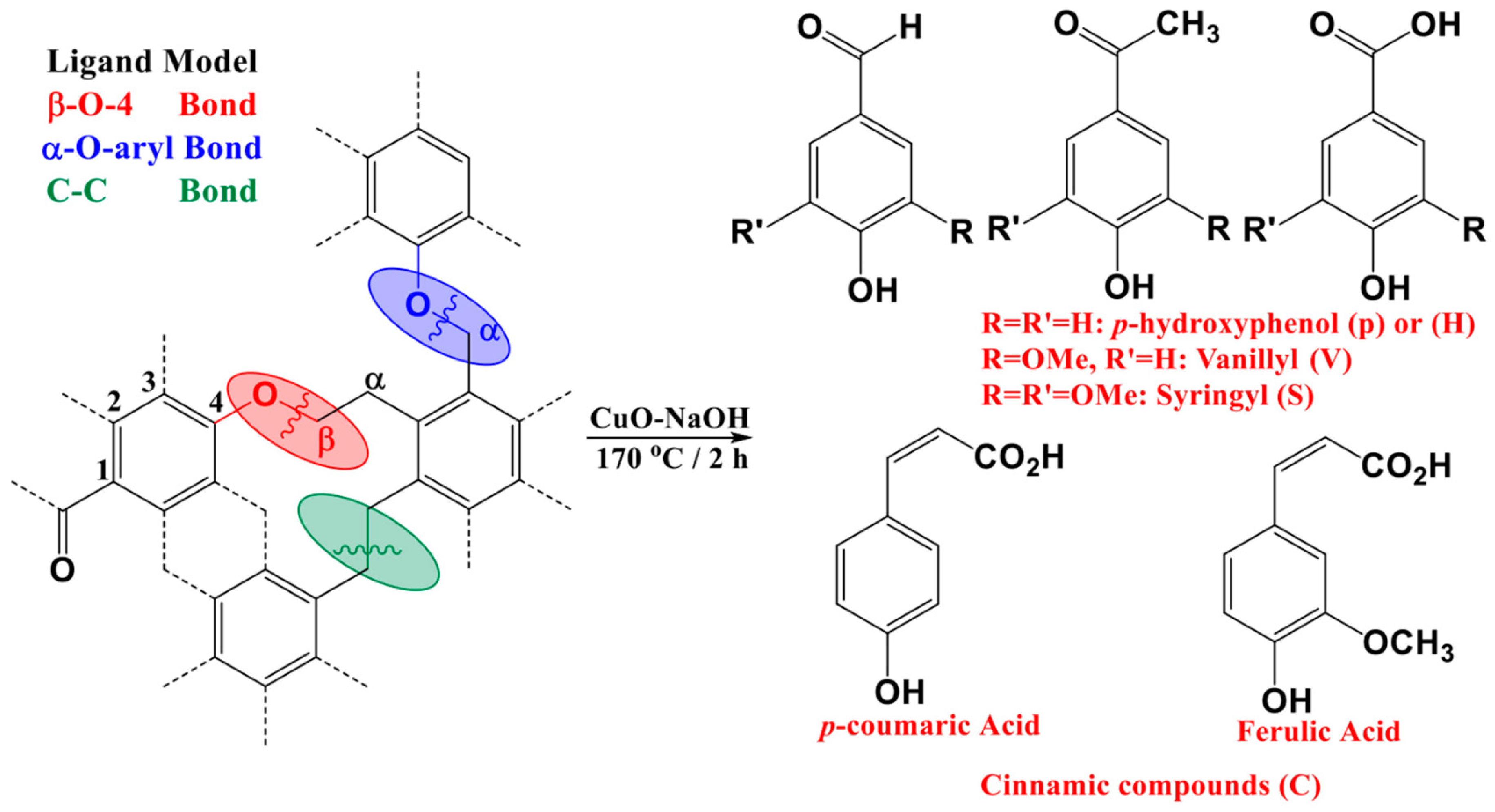 Sustainability 17 11074 g002