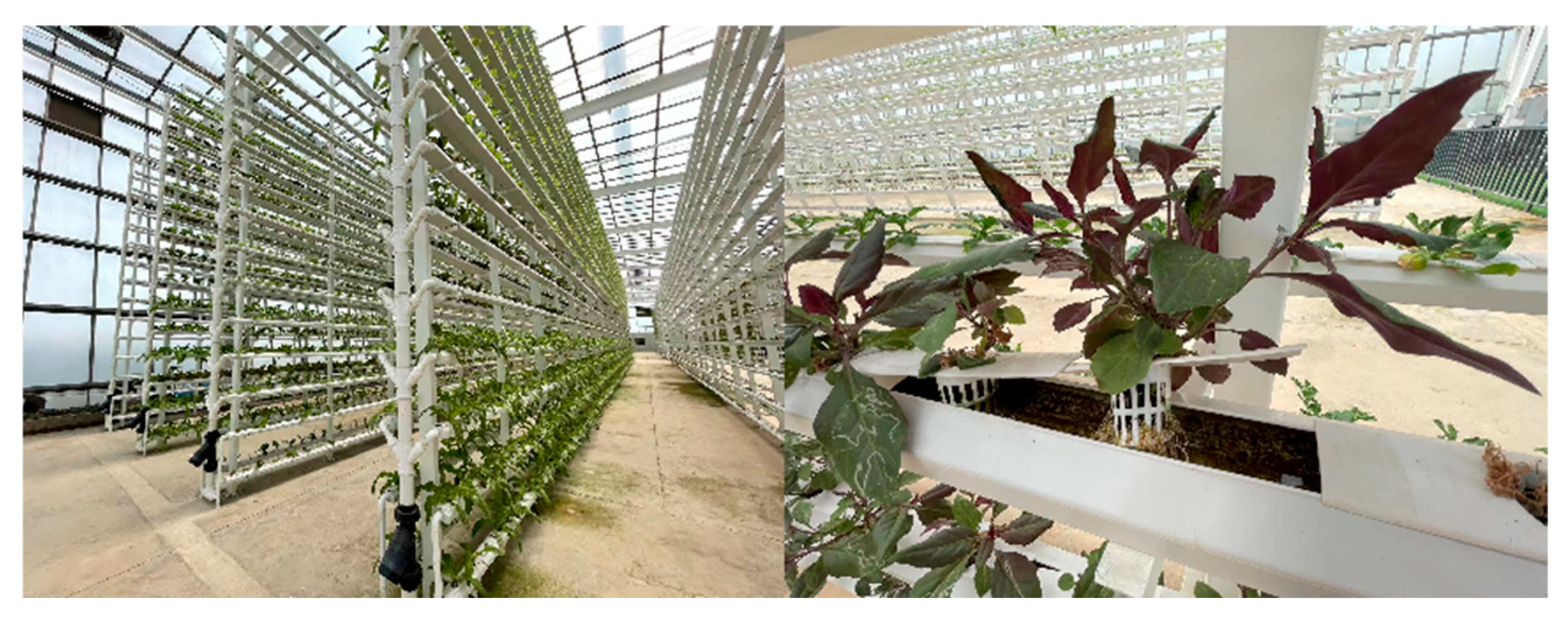 Sustainability 17 11077 g004