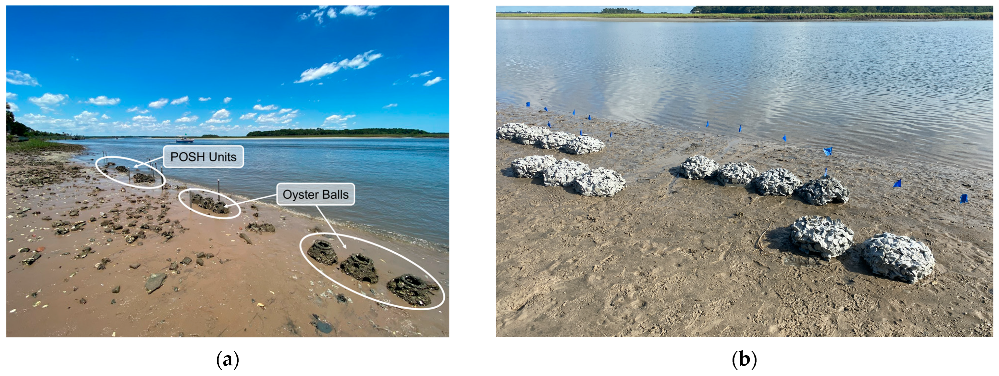 Sustainability 17 11129 g002 Sustainability 17 11129 g002