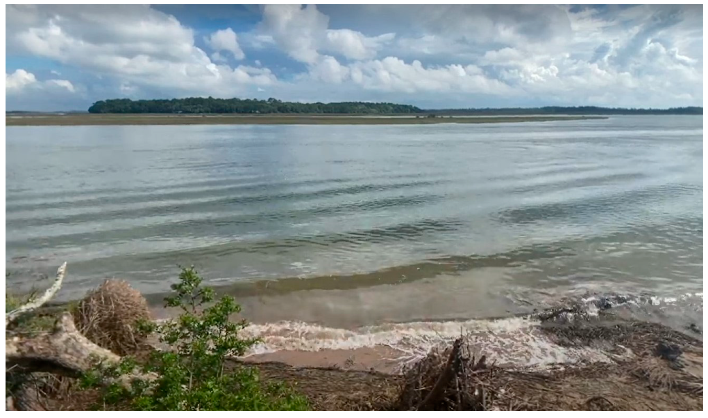 Sustainability 17 11129 g005 Sustainability 17 11129 g005