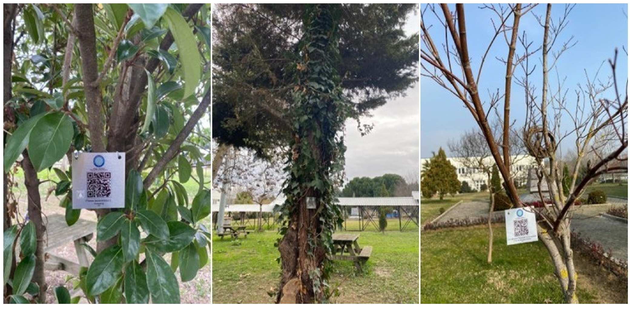 Sustainability 17 11203 g004 Sustainability 17 11203 g004