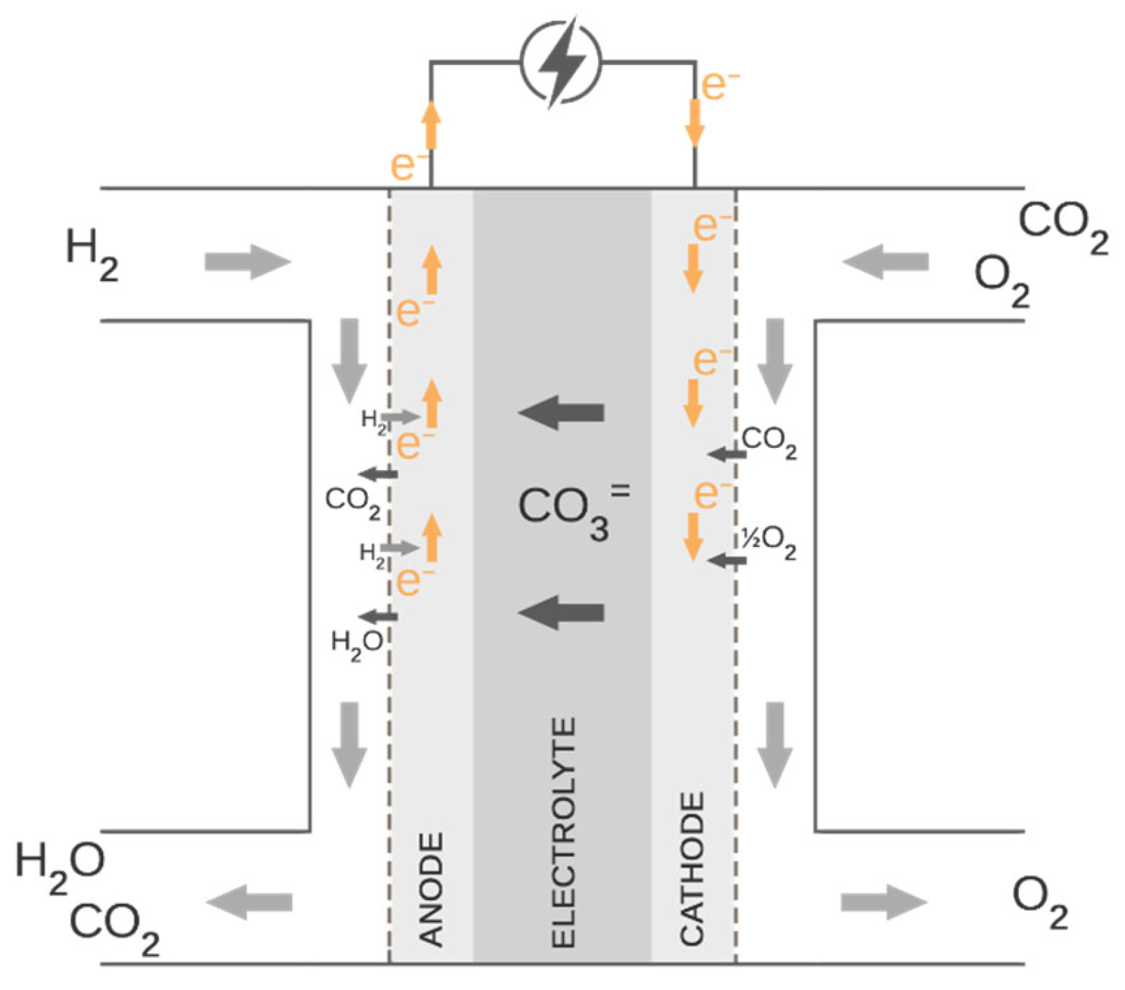 Sustainability 17 11234 g001