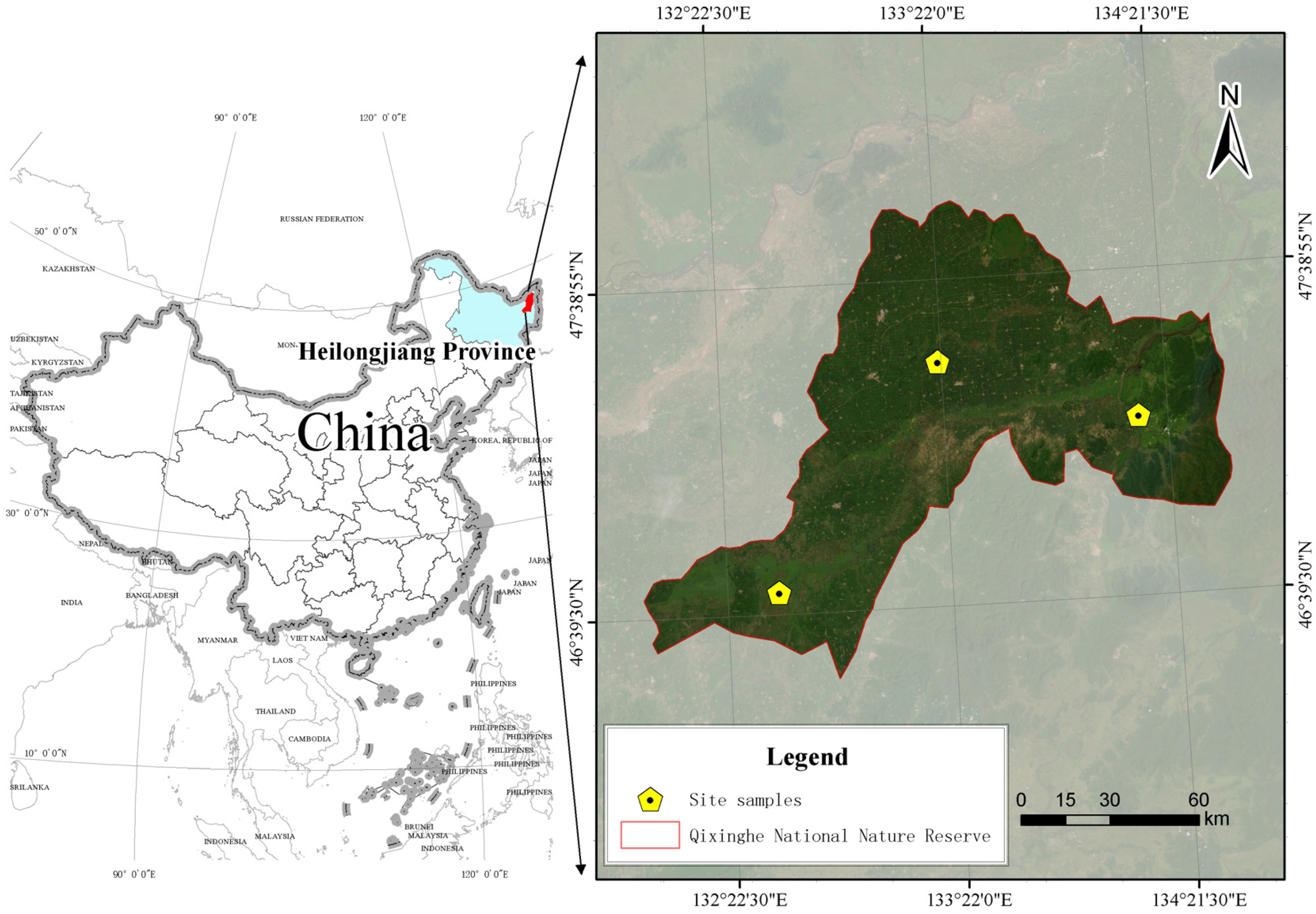 Sustainability 17 11260 g001