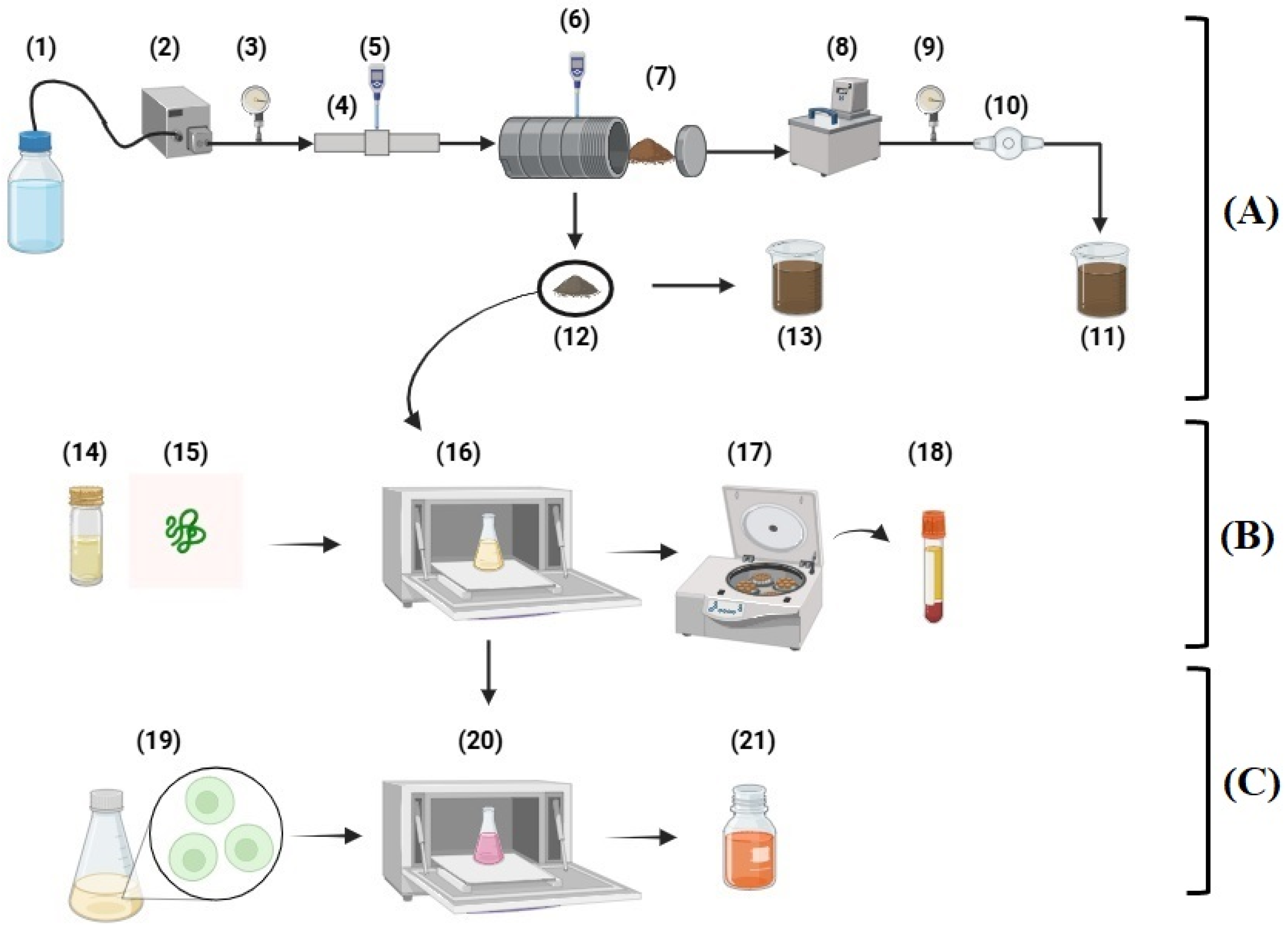 Effect of Steam Explosion Pretreatment on Improving Enzymatic ...