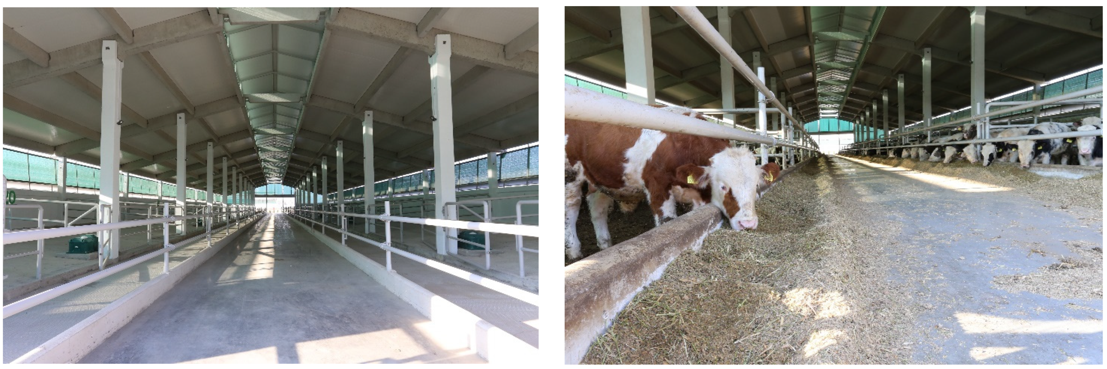 Sustainability 17 11356 g005