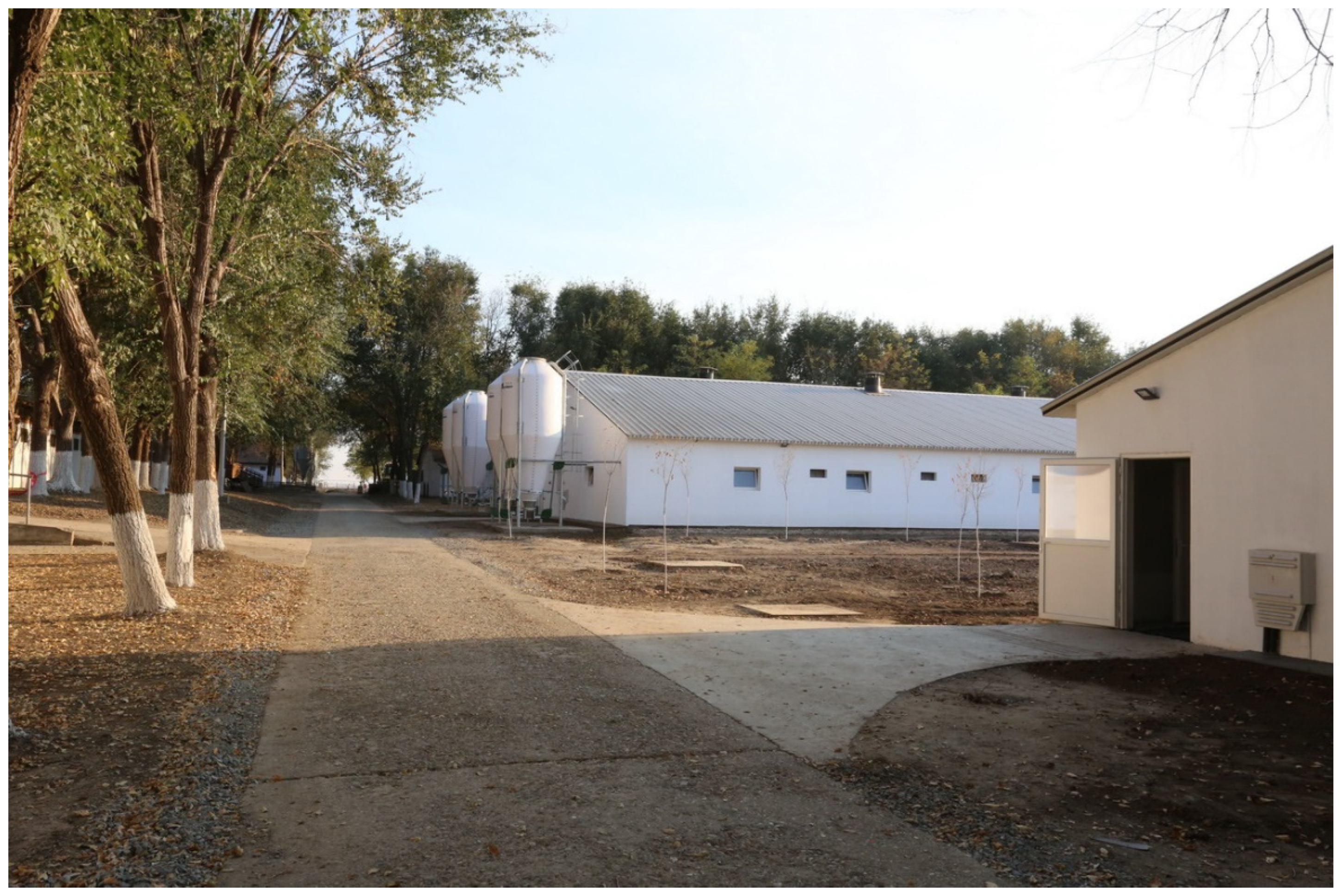 Sustainability 17 11356 g008