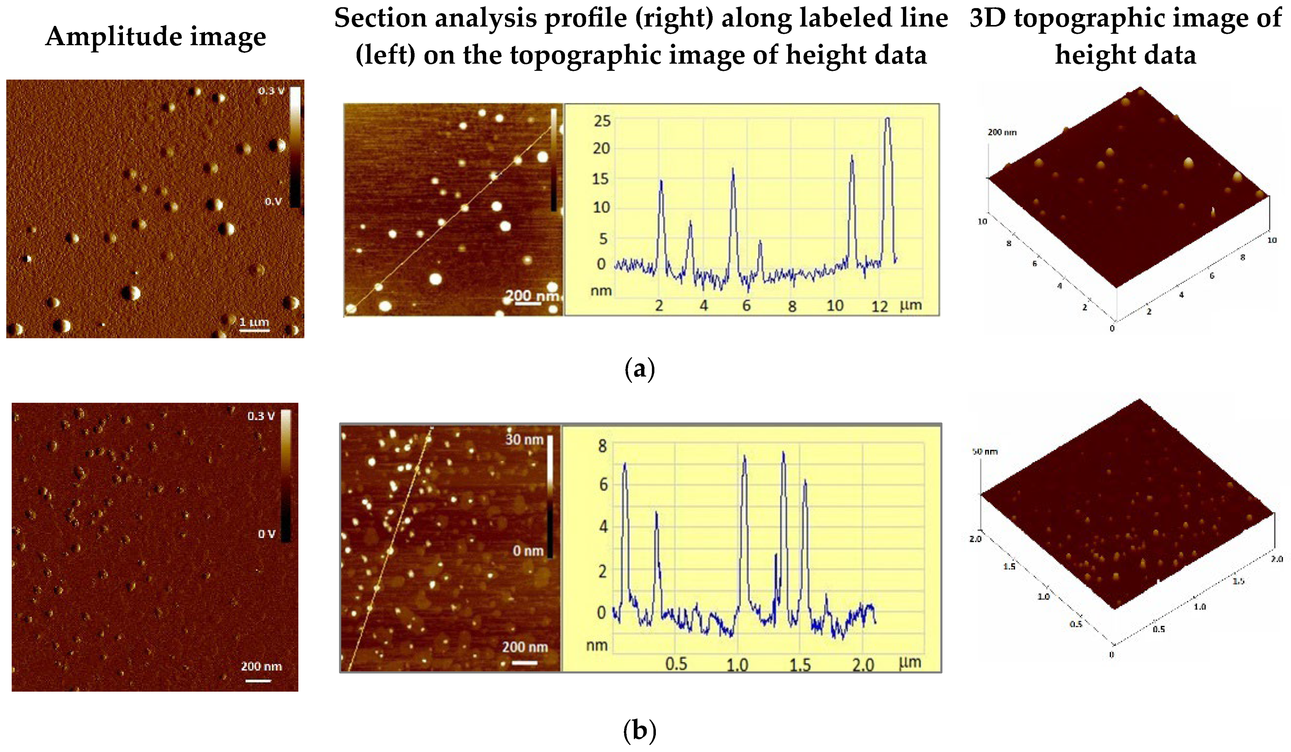 Sustainability 17 11374 g003